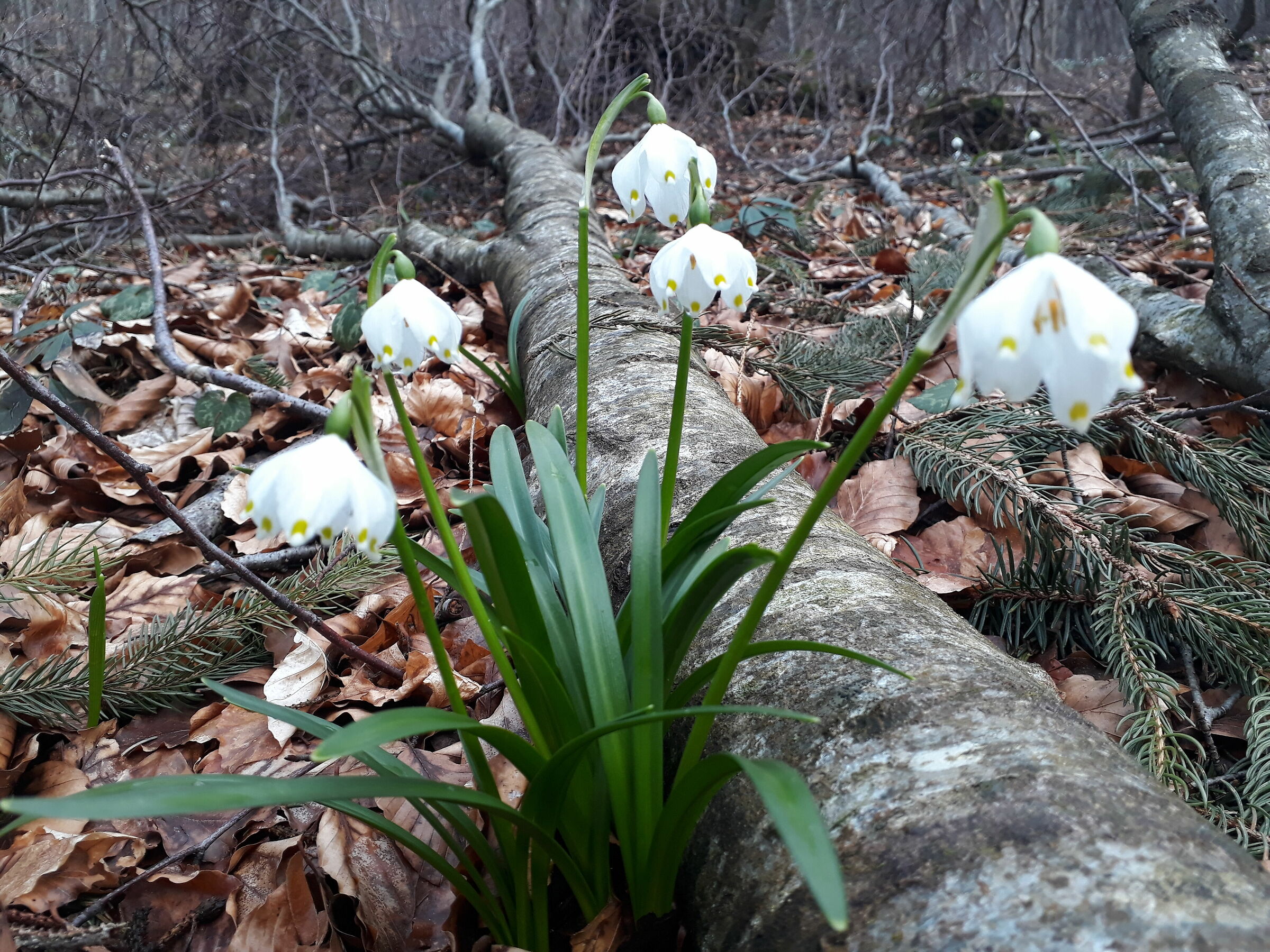 The quiet after the storm....