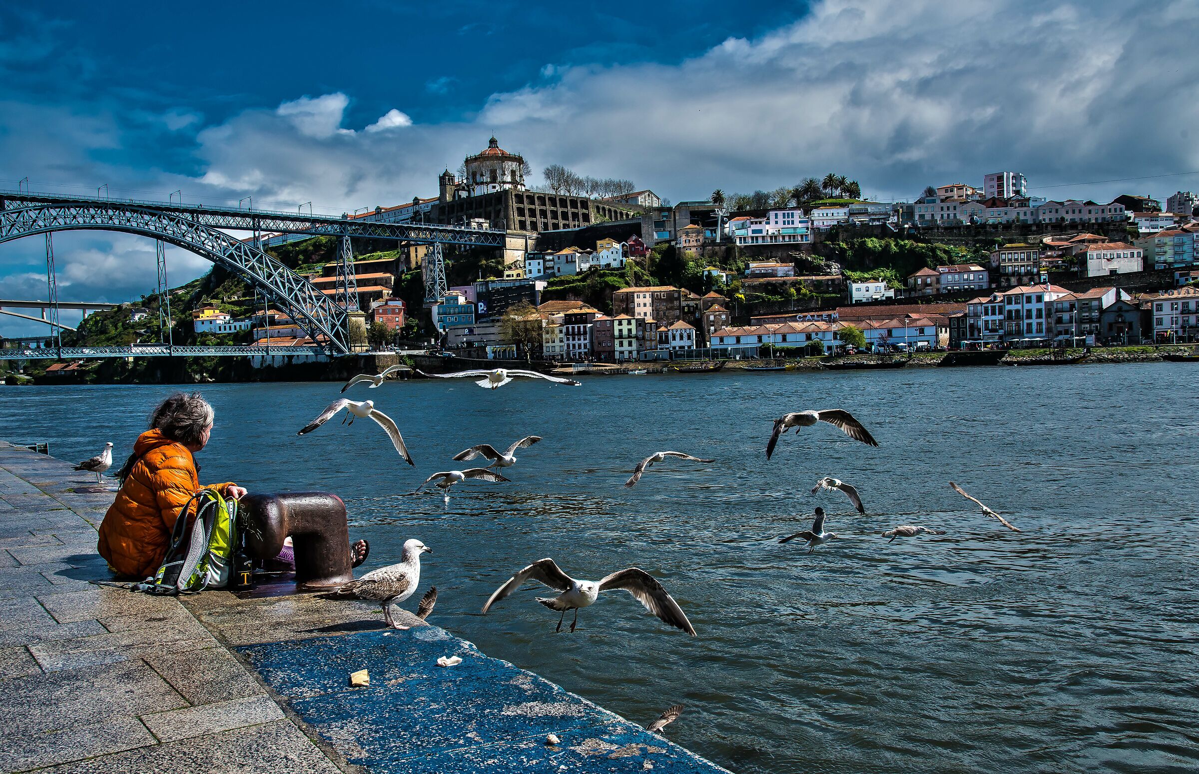 zona portuale gabbiani