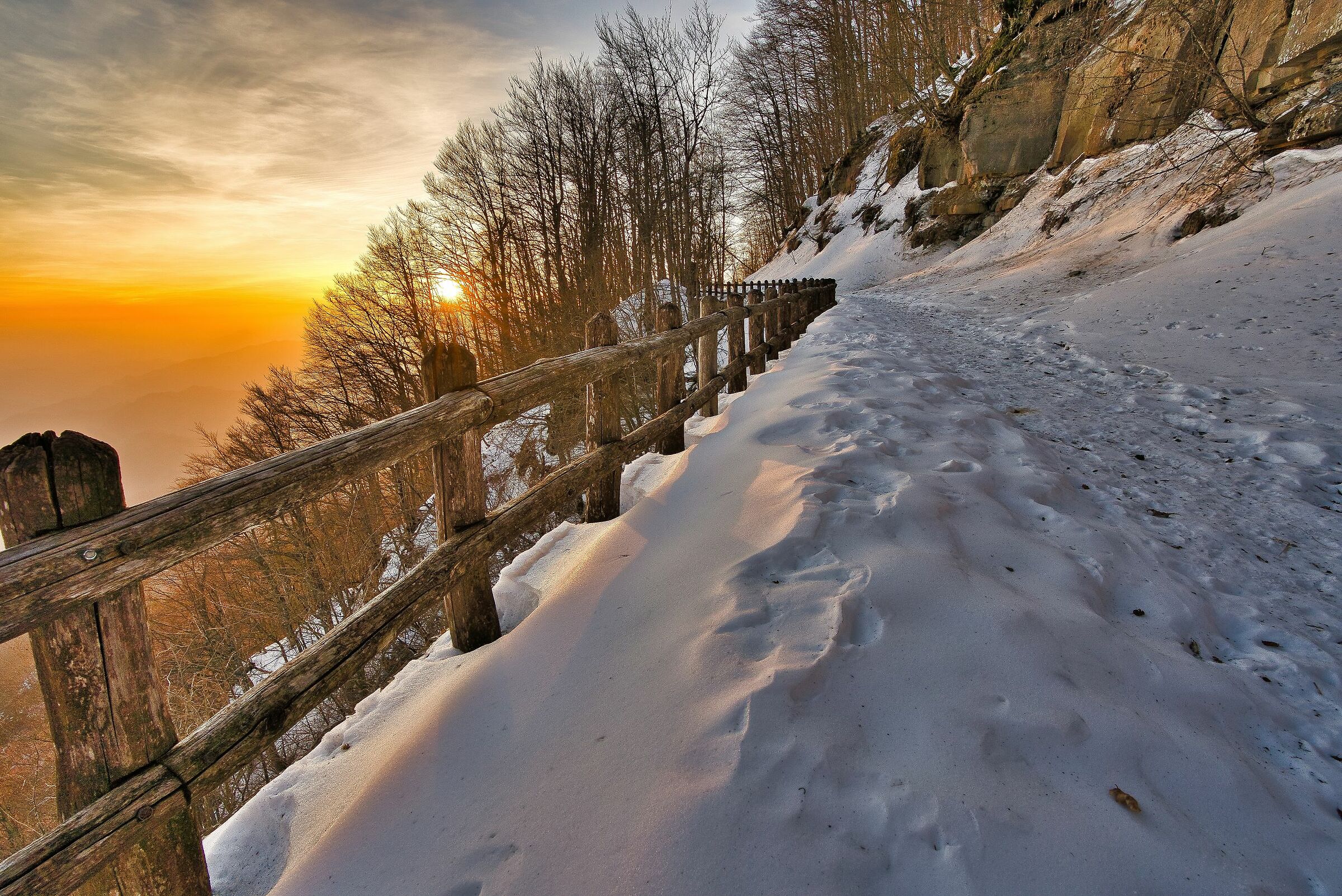 Sunrise in the Casentino forests