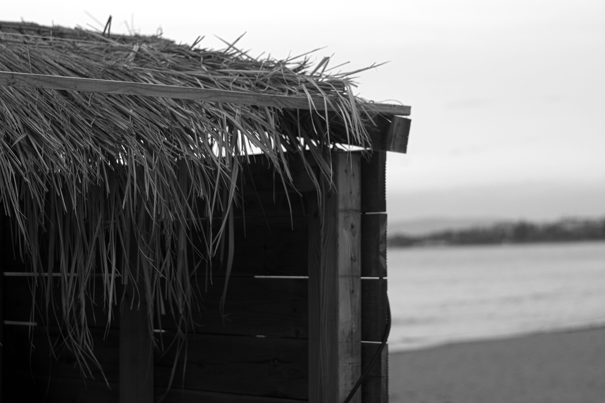 Il mare d'inverno cabina