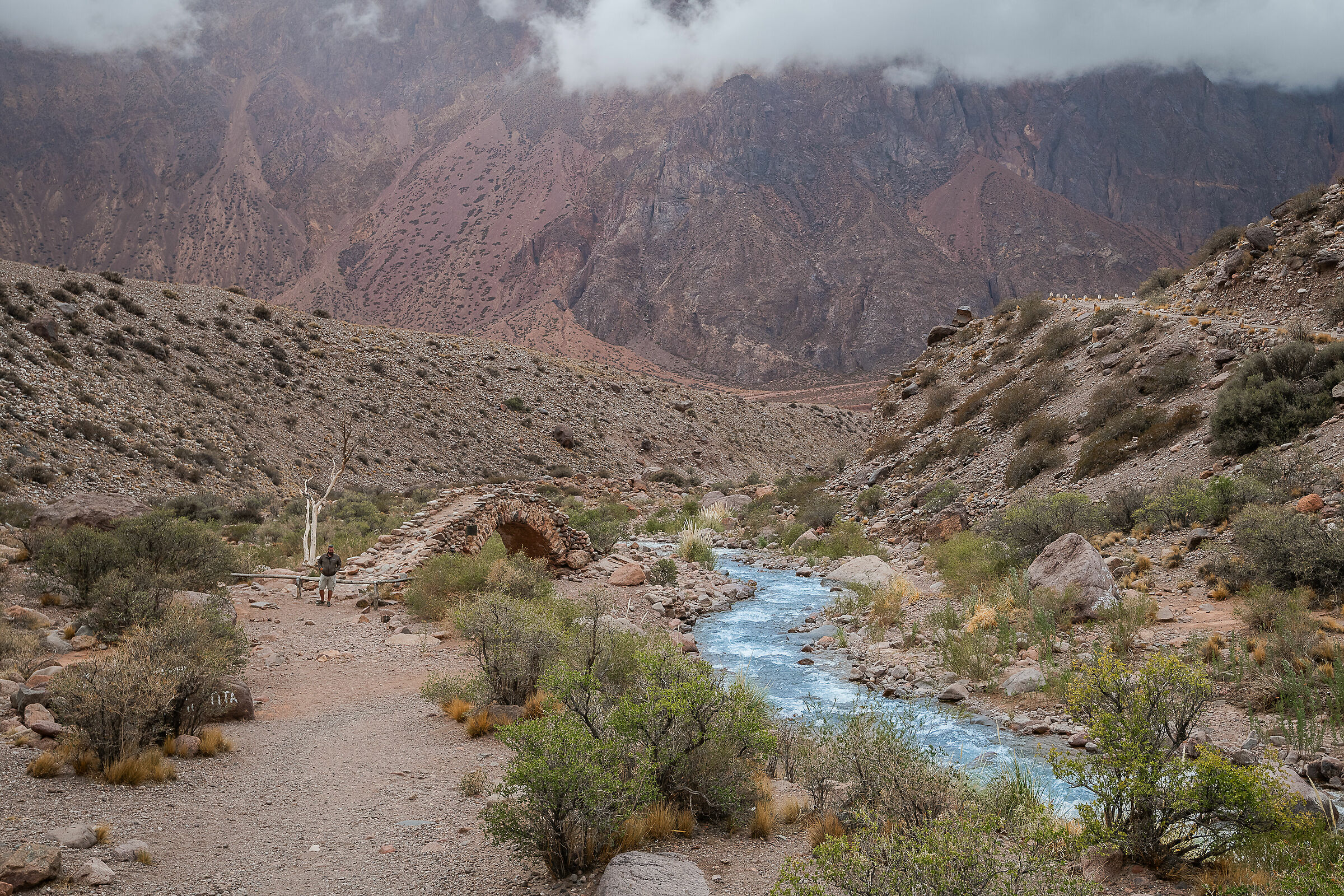 Bridge of Pichtherapist-Prv. of Mendoza (REP. Argentina