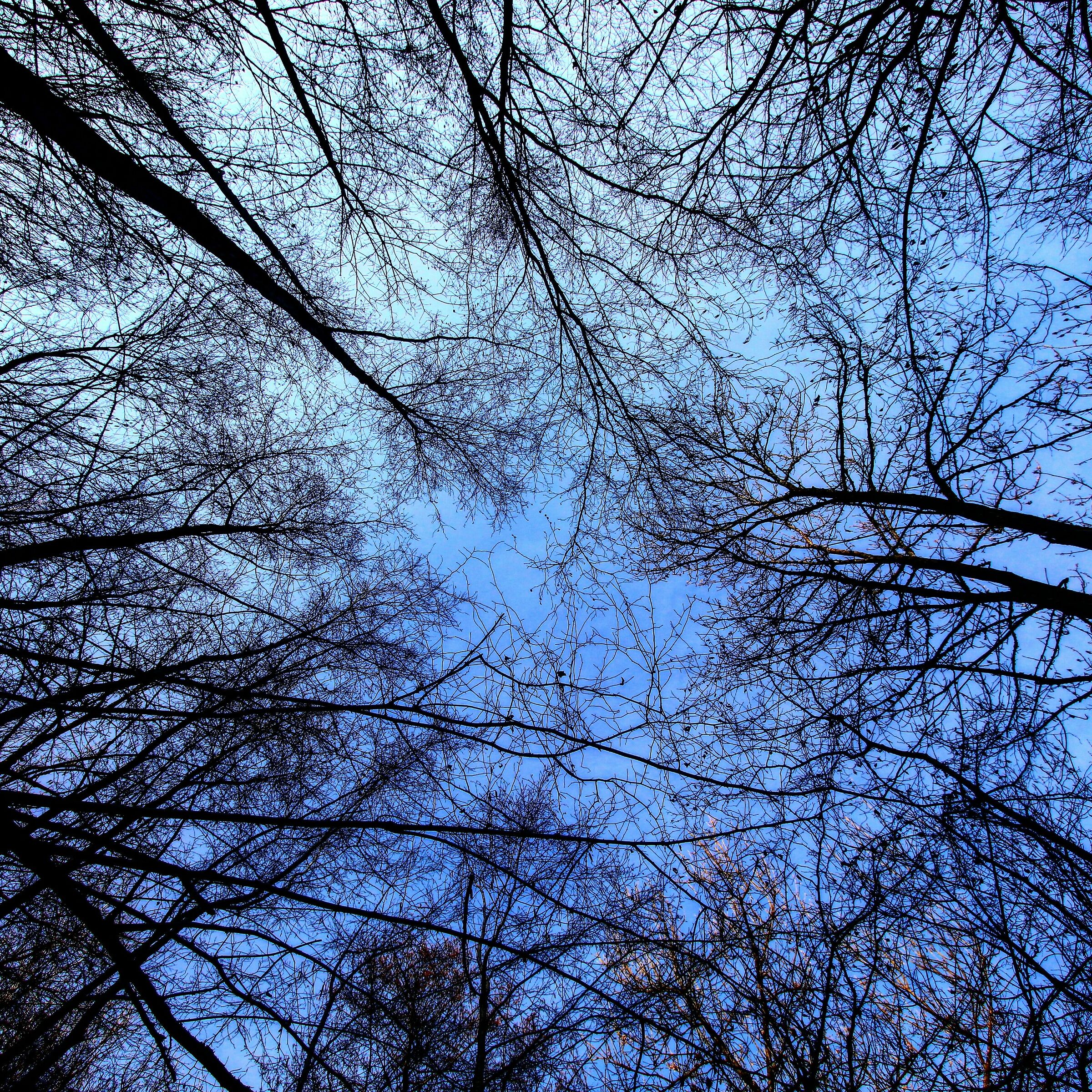 Dal basso verso l'alto