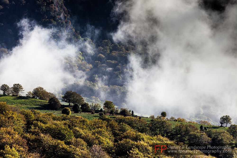Mists in the Valley