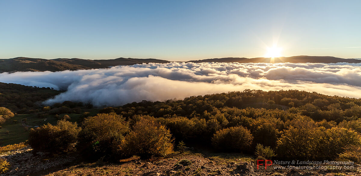 Fog fills the Valley