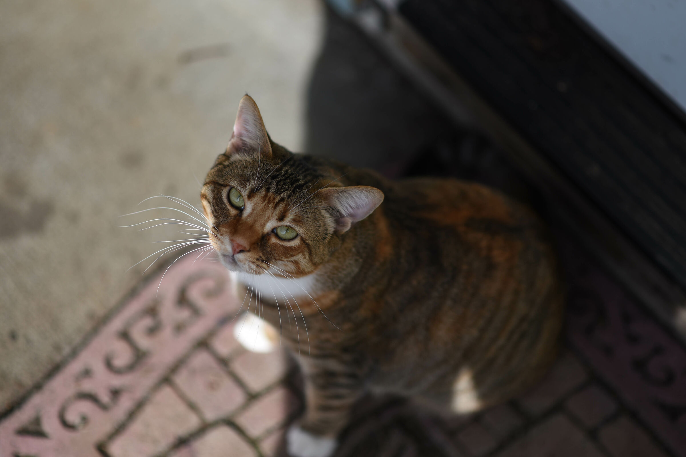 New camera test shots