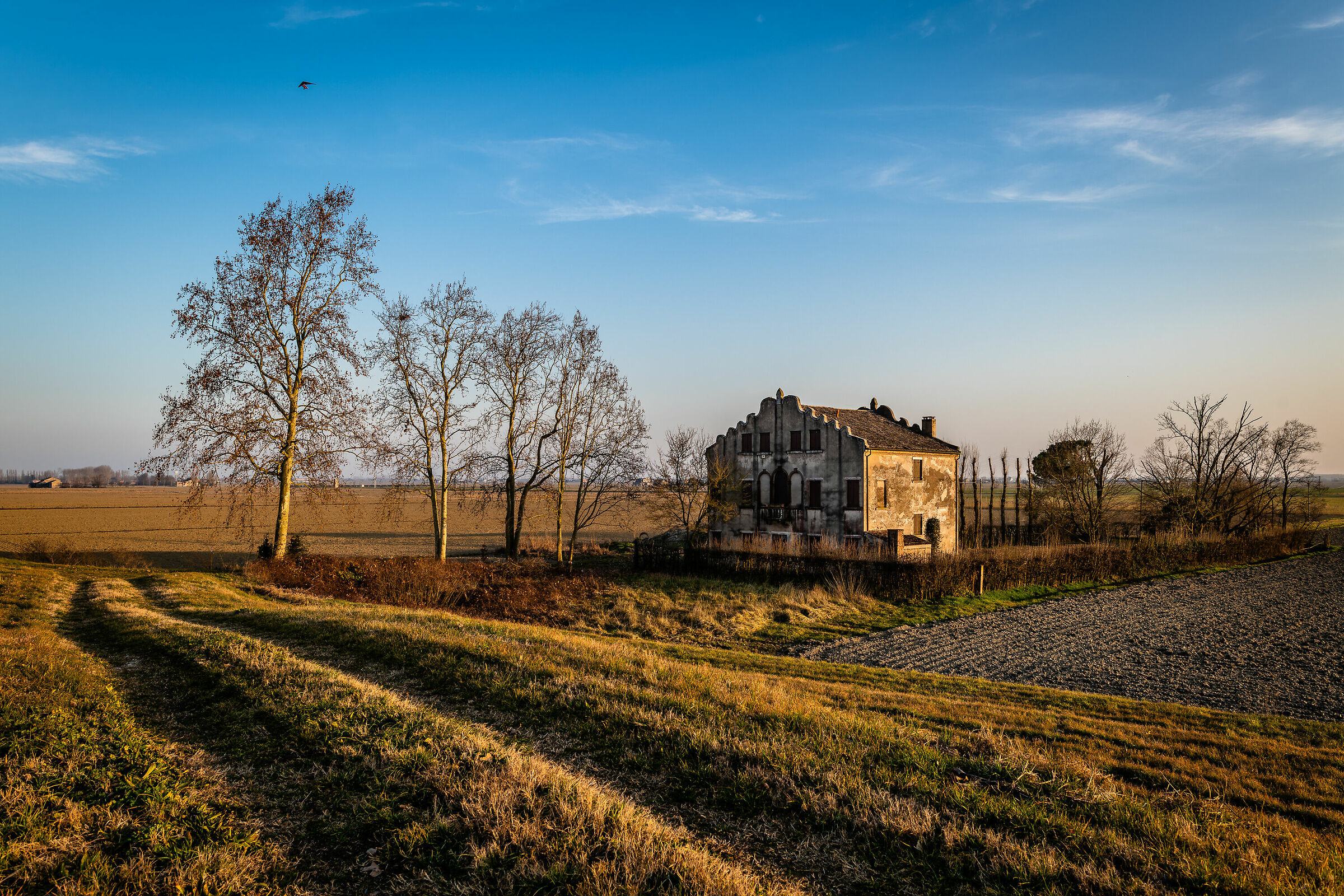 In deltaplano sul Delta
