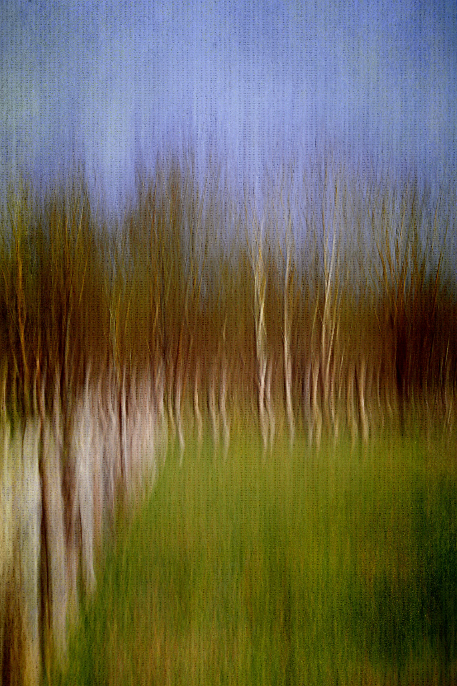 Dipingere con la luce