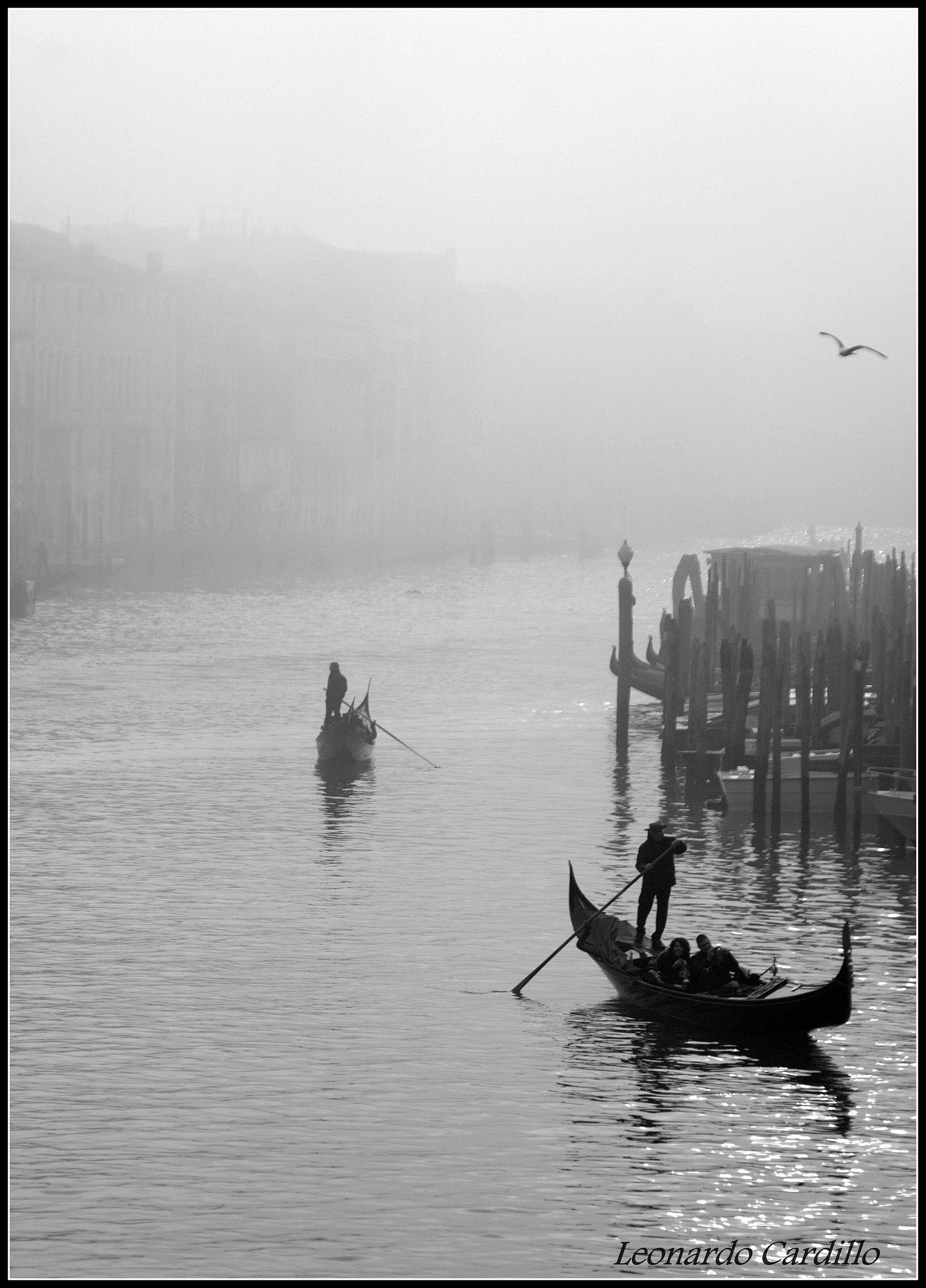 Nebbia in Canal Grande