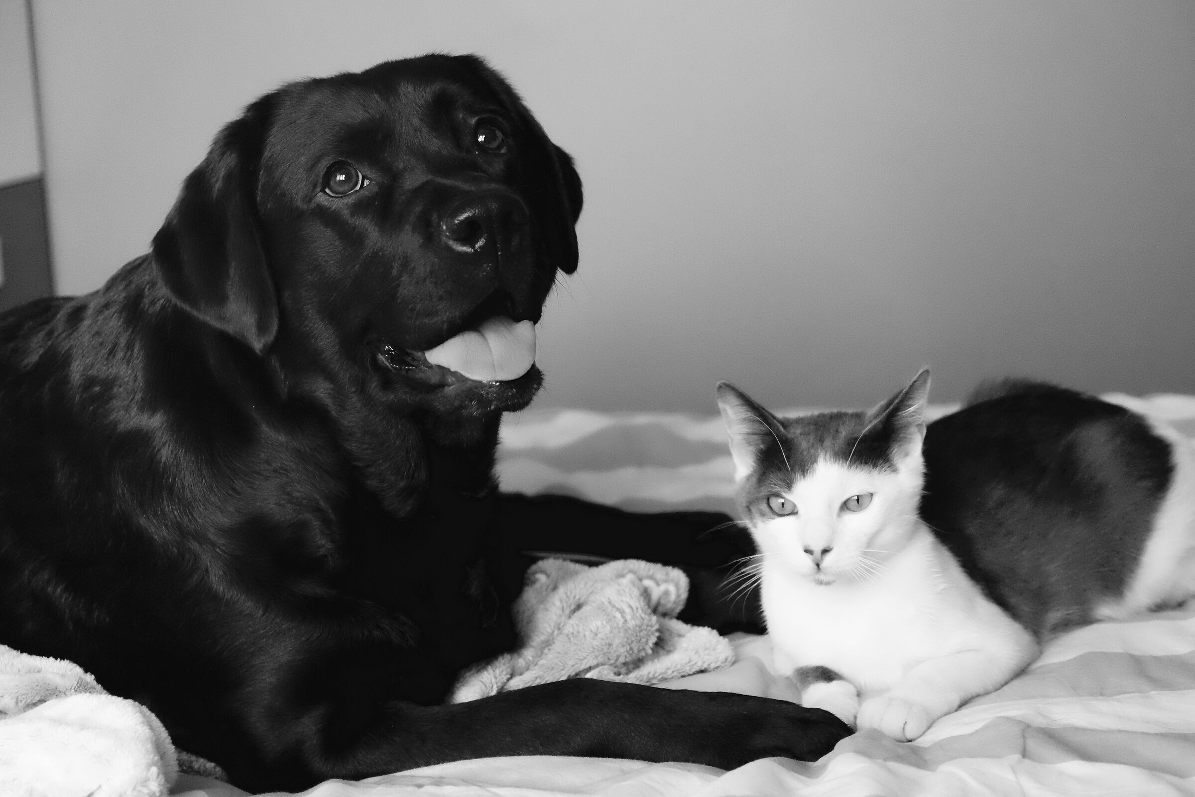 Matilda and Timur