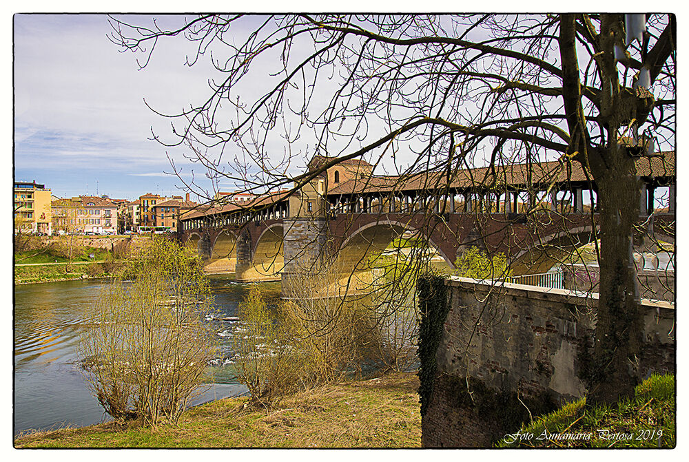 The Covered Bridge of PAVIA
