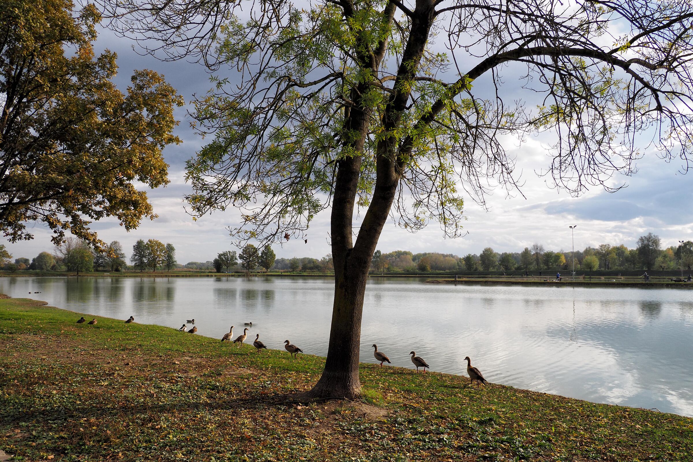 Waiting for the bathroom