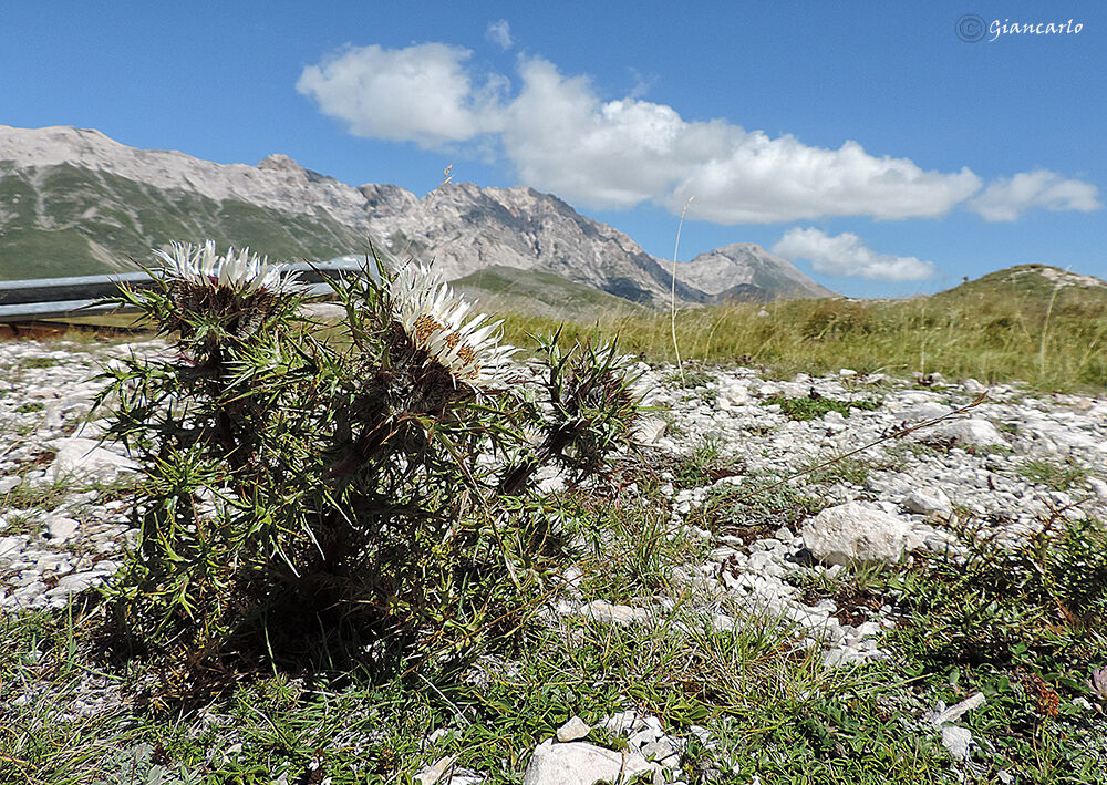 La natura si mette in posa