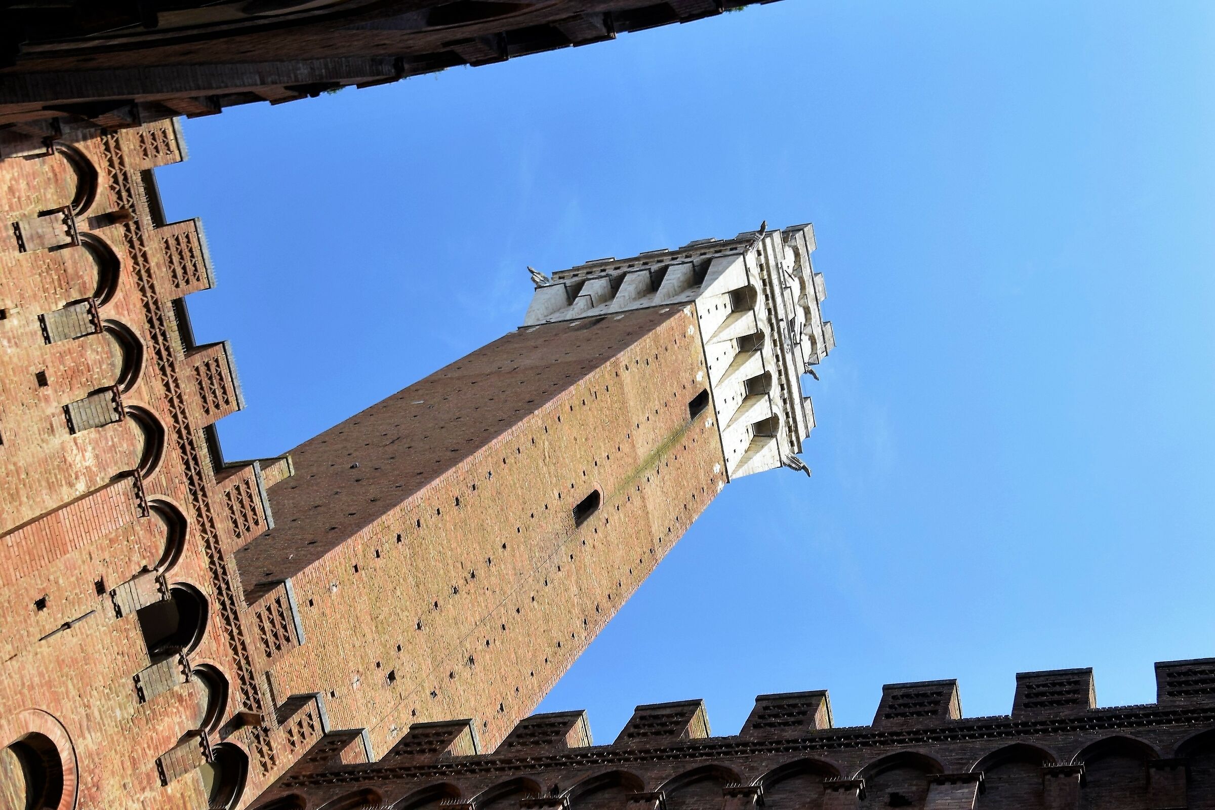 Town Hall and Torre del Mangia
