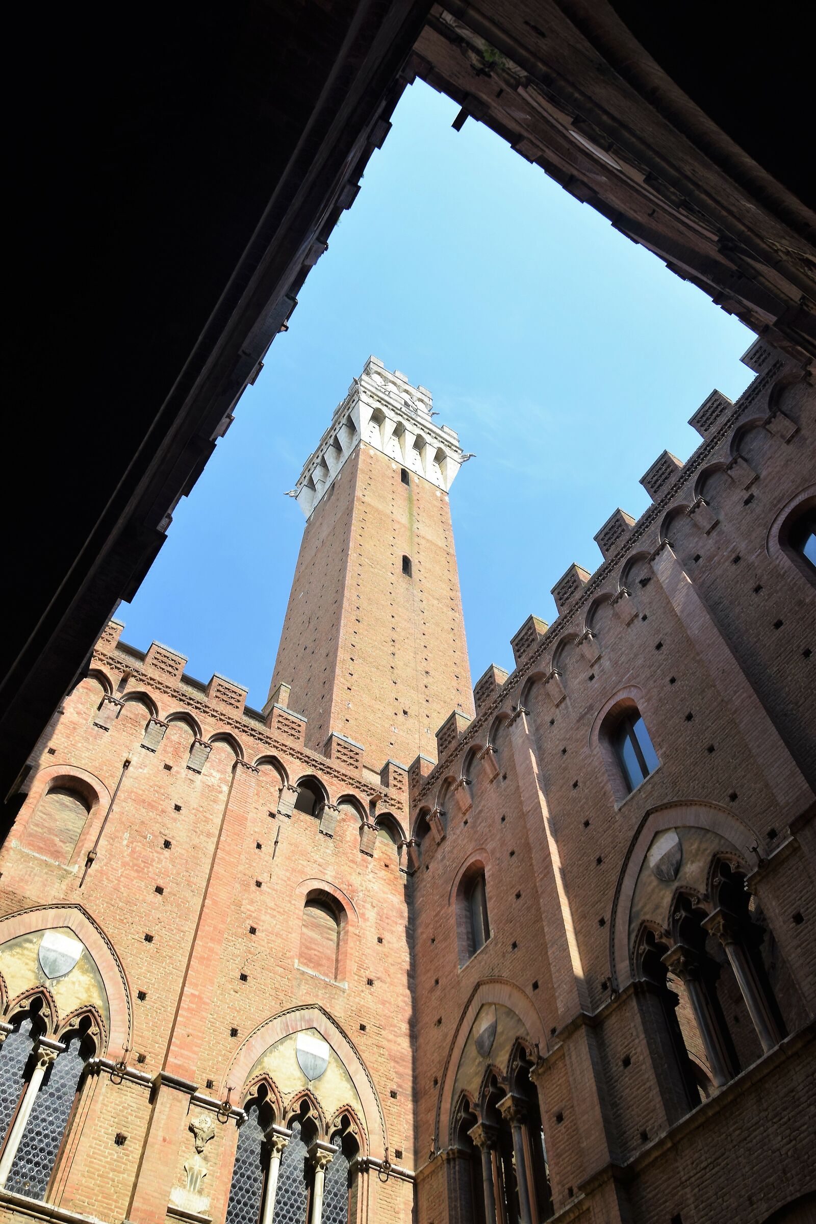 Town Hall and Torre del Mangia