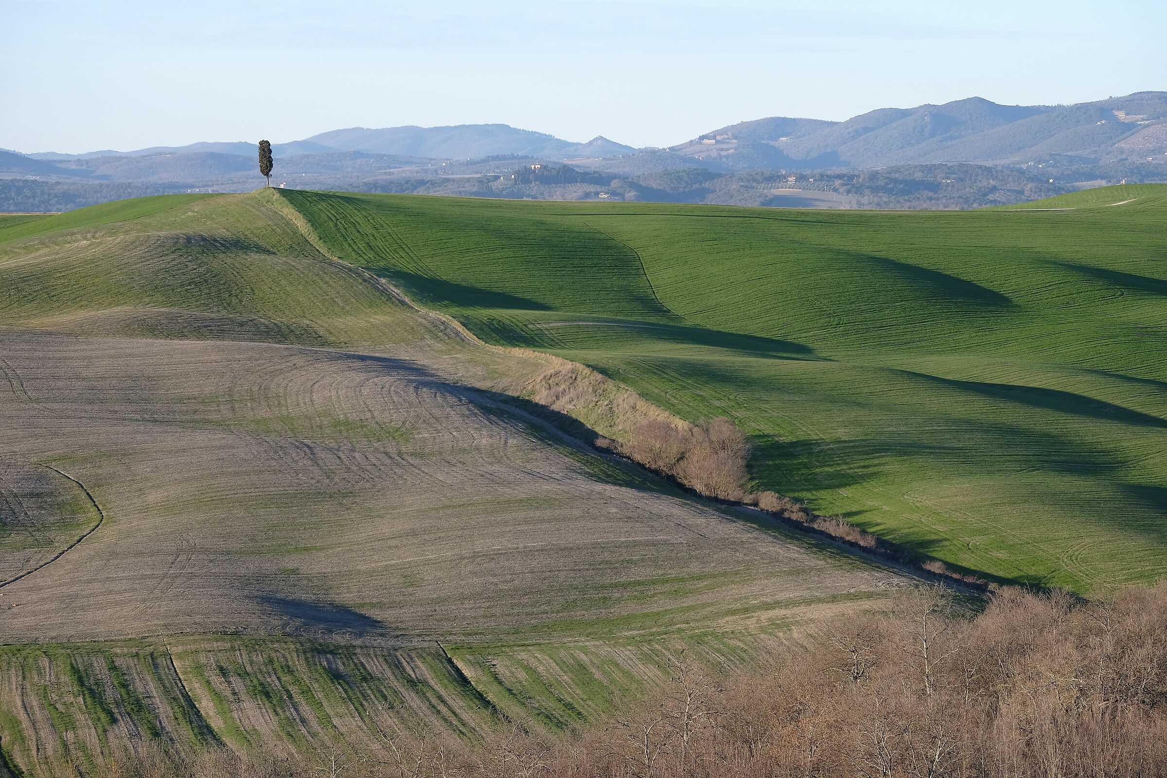 Crete senesi