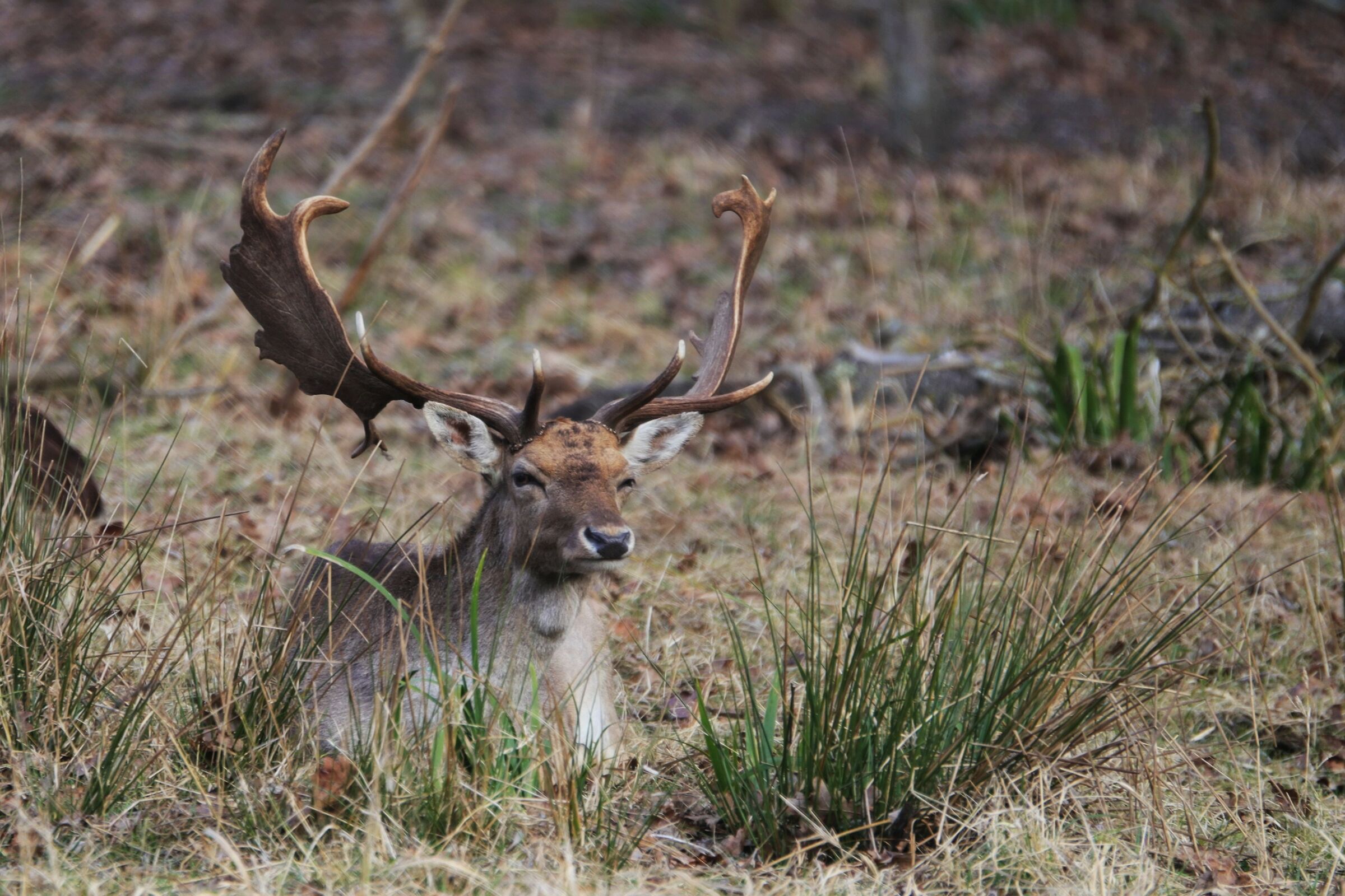 ...dormo con un occhio aperto