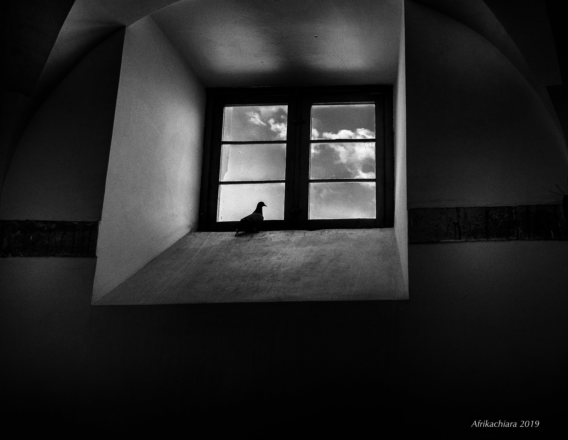 The wings of Freedom...