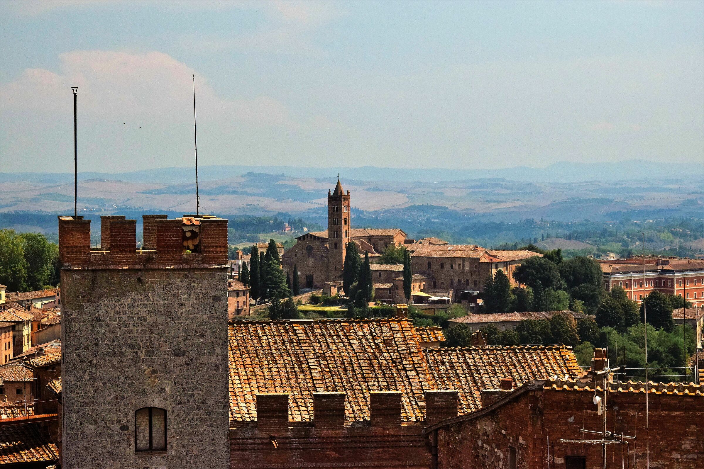 View of the Duomo from the Facciatone