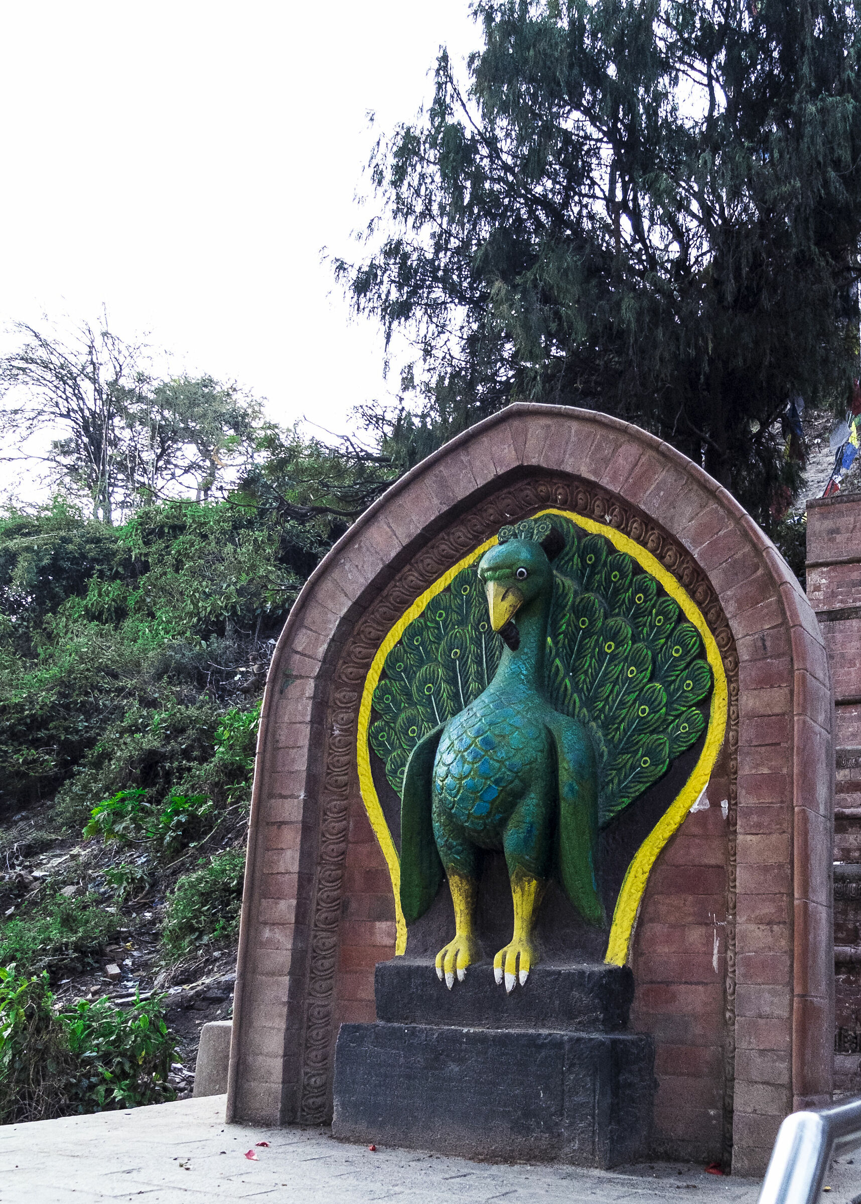 Jack in Kathmandu 5