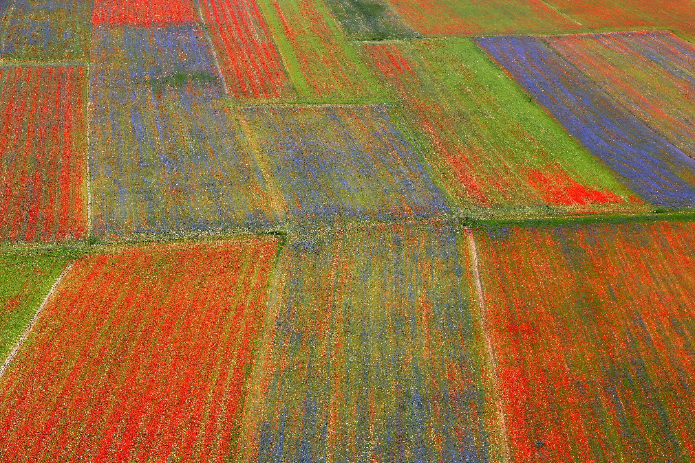 La tavolozza della Natura