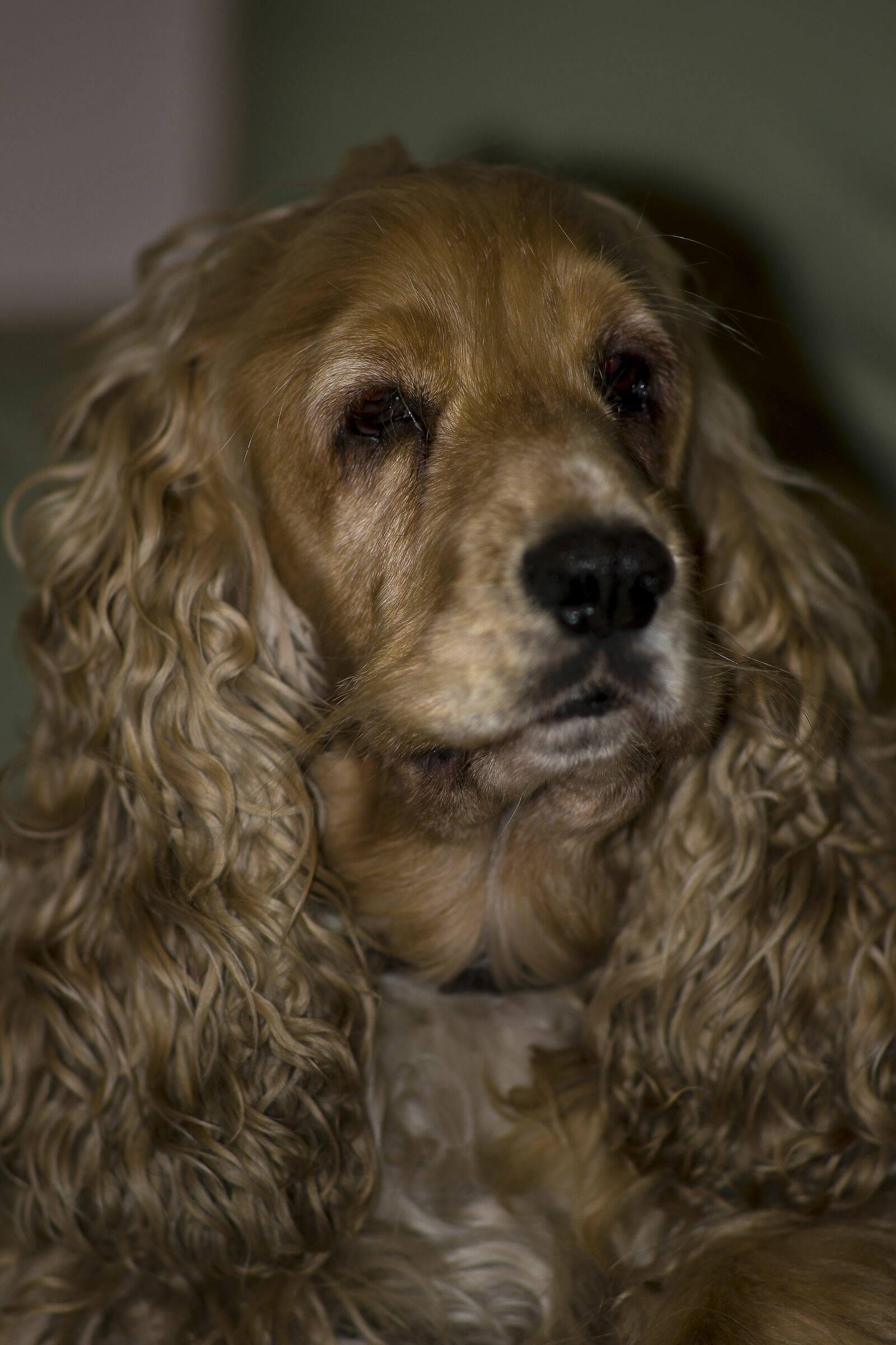 IRINA 180 Sonnar on A7 full opening