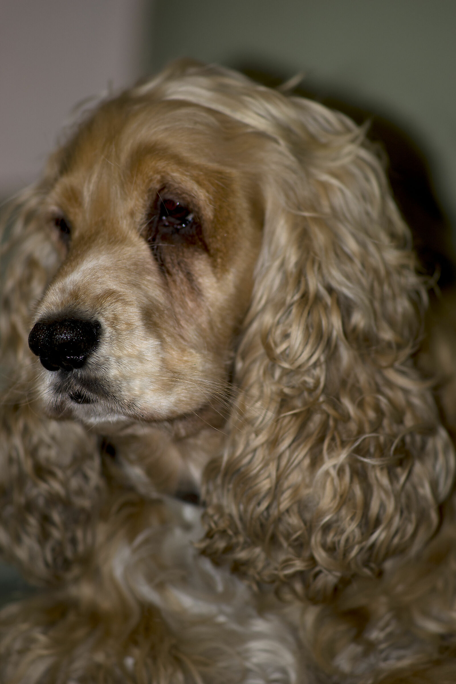 IRINA 180 Sonnar on A7 full opening