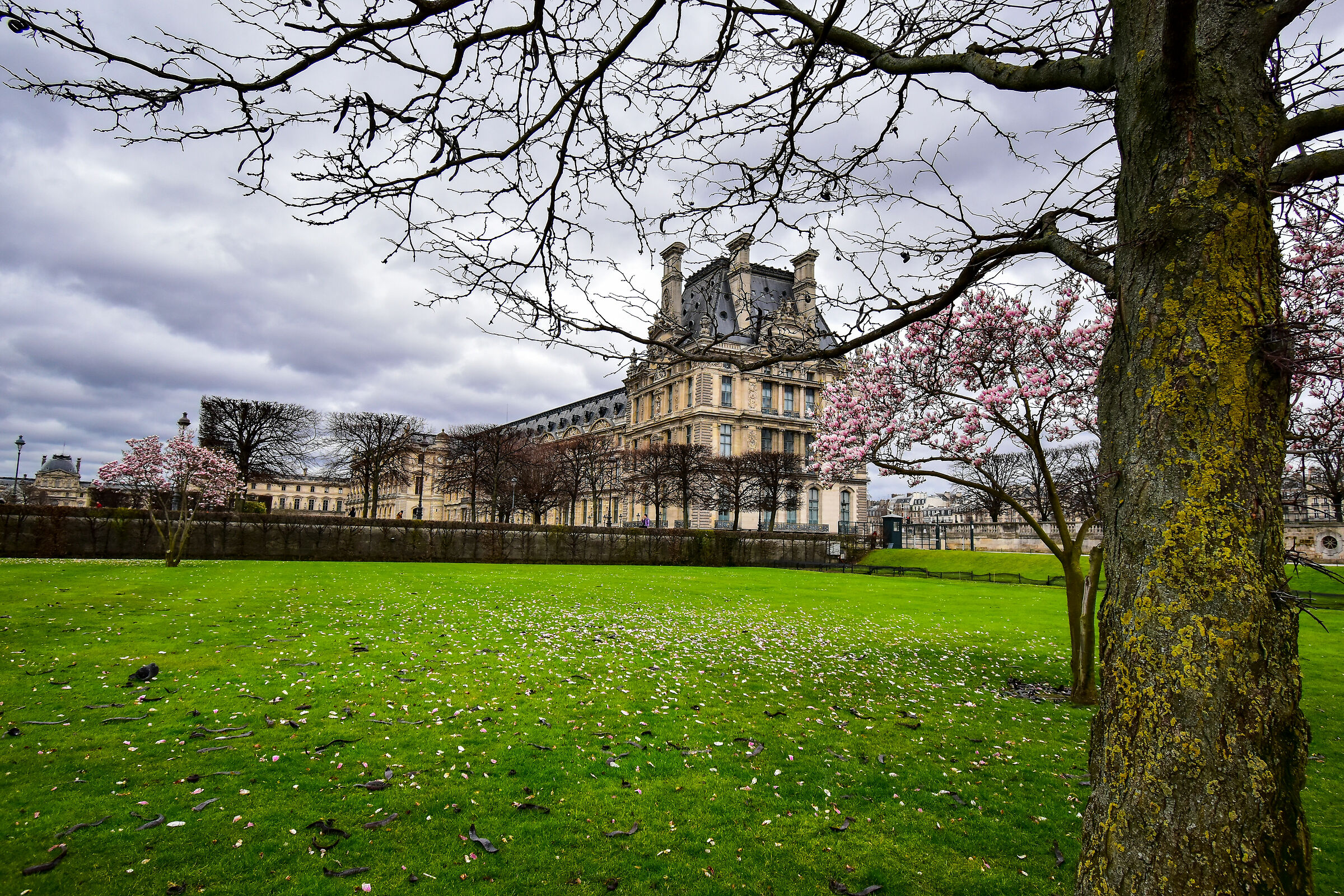 Jardin des Tuileries