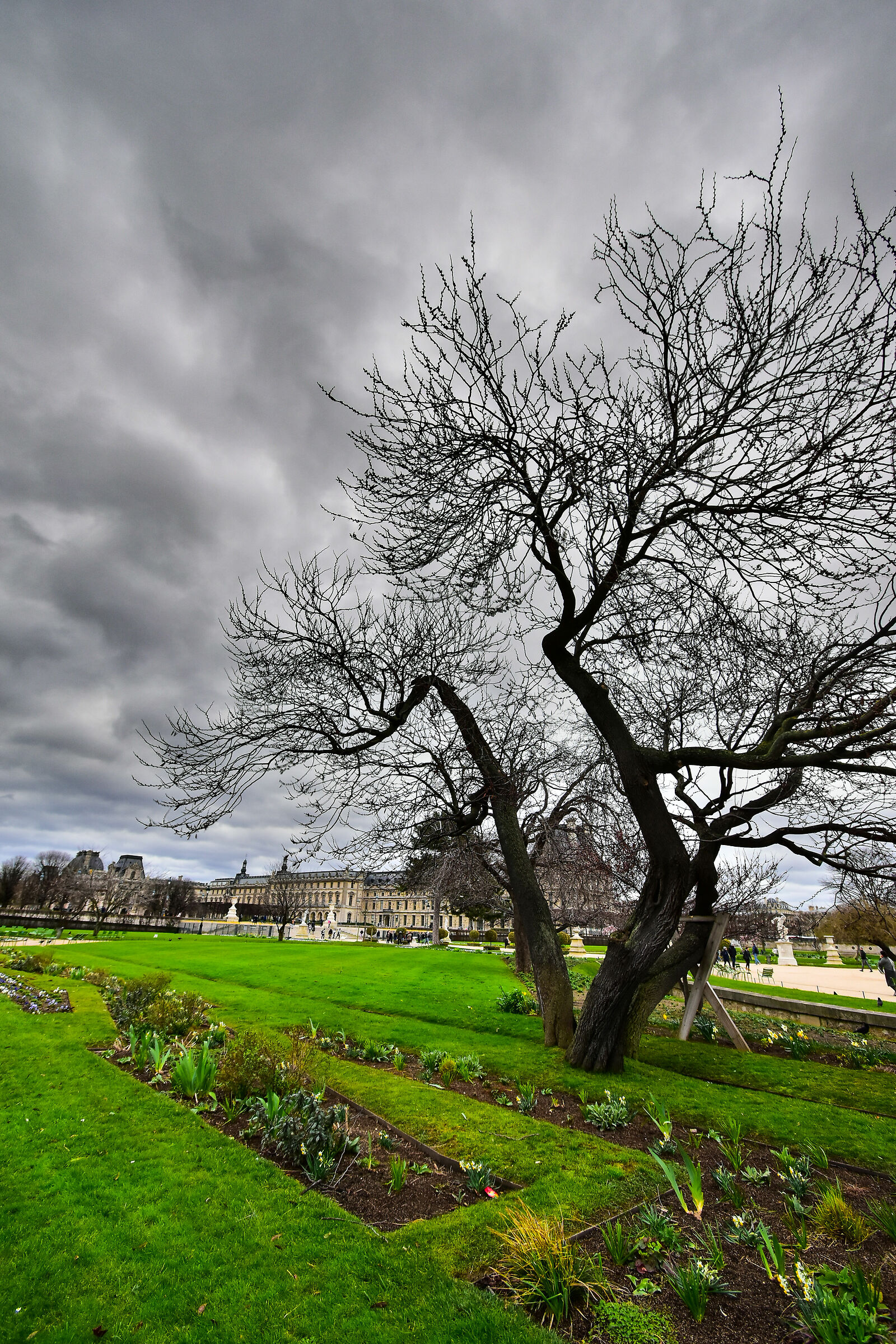 Jardin des Tuileries