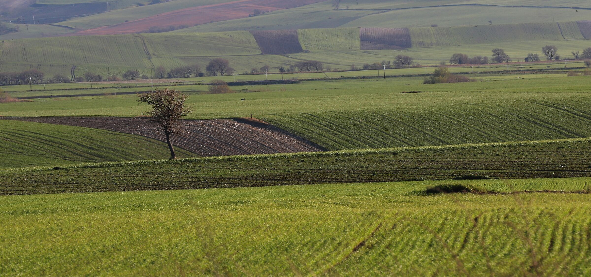 Landscapes from caped