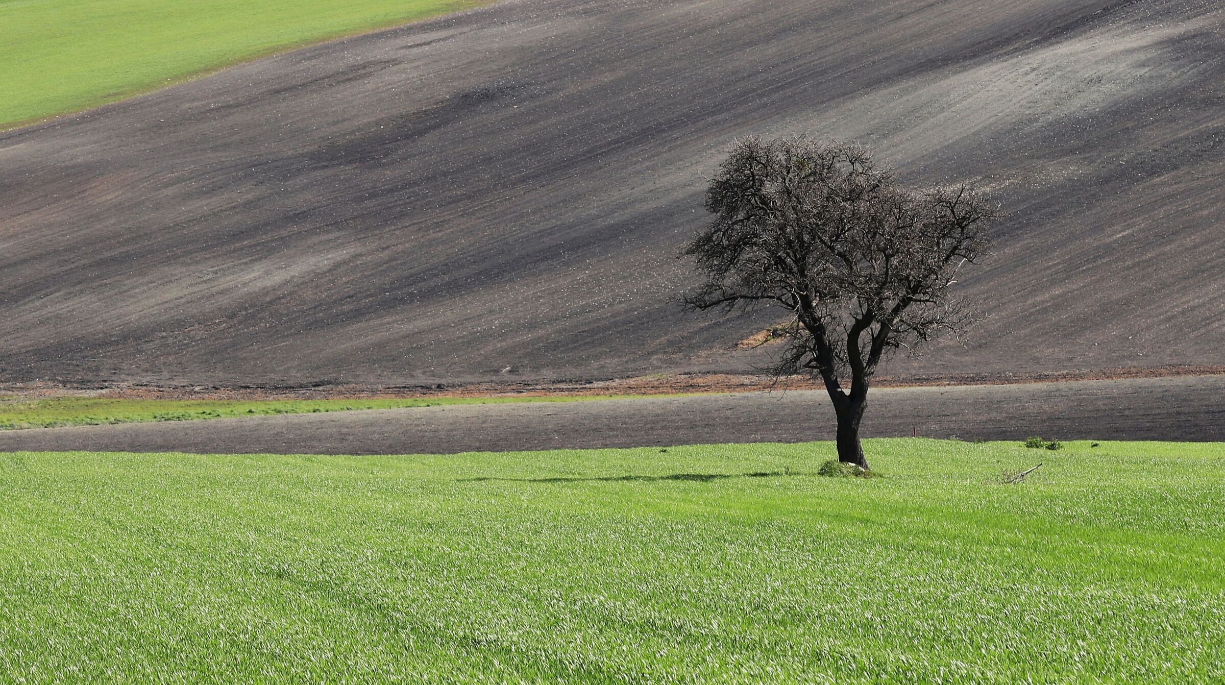 Landscapes of captained