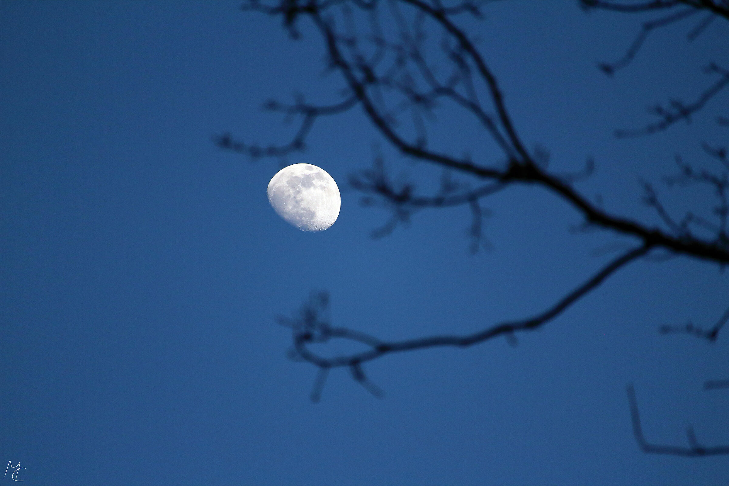 Look at that moon...