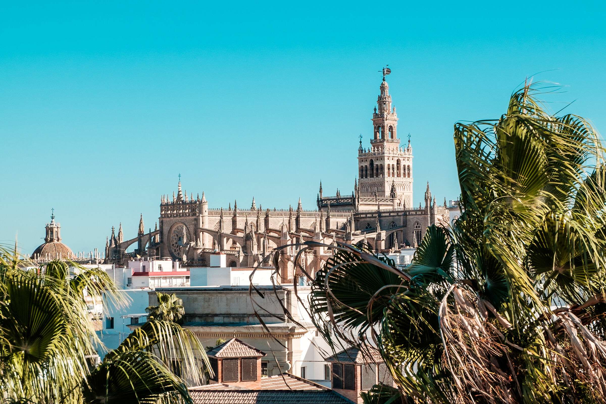 Cattedrale di Siviglia