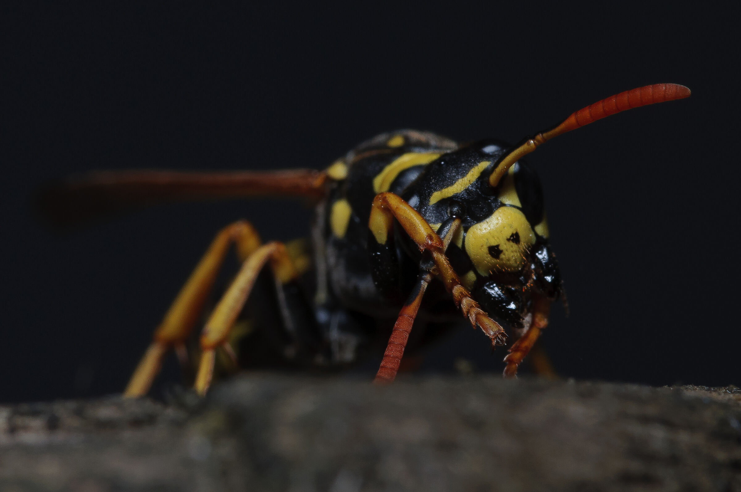 Vespa - L'aspetto prima di tutto