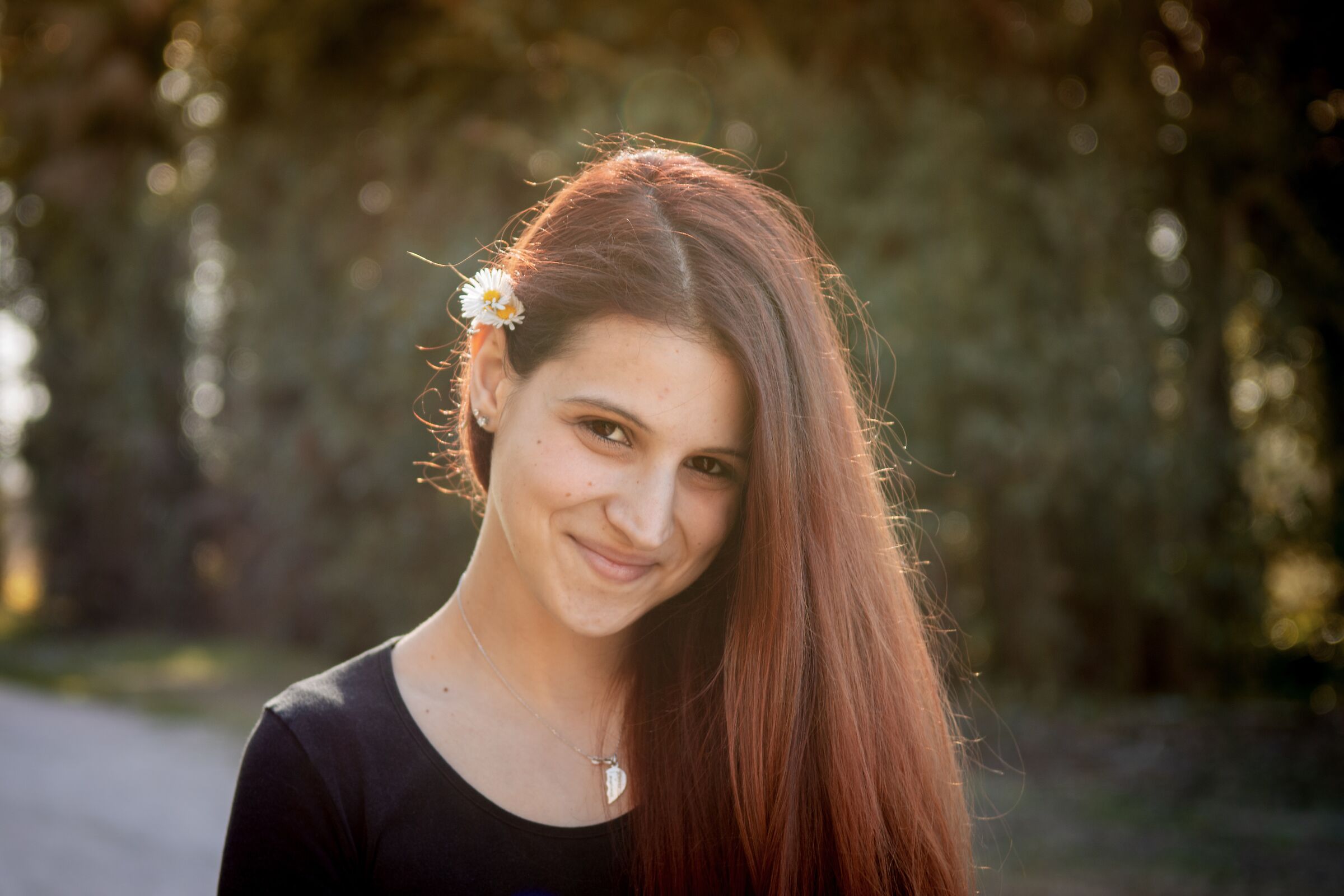 Controluce e margherite 2