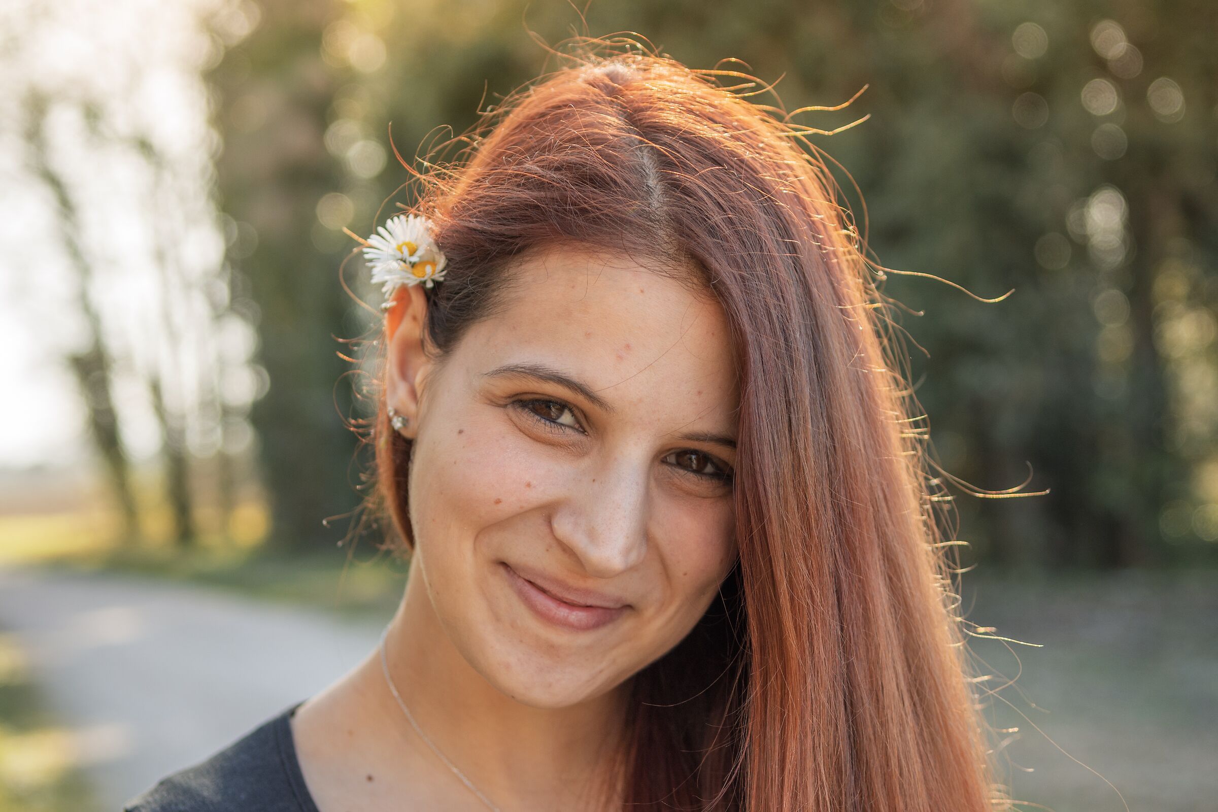 Controluce e margherite 3