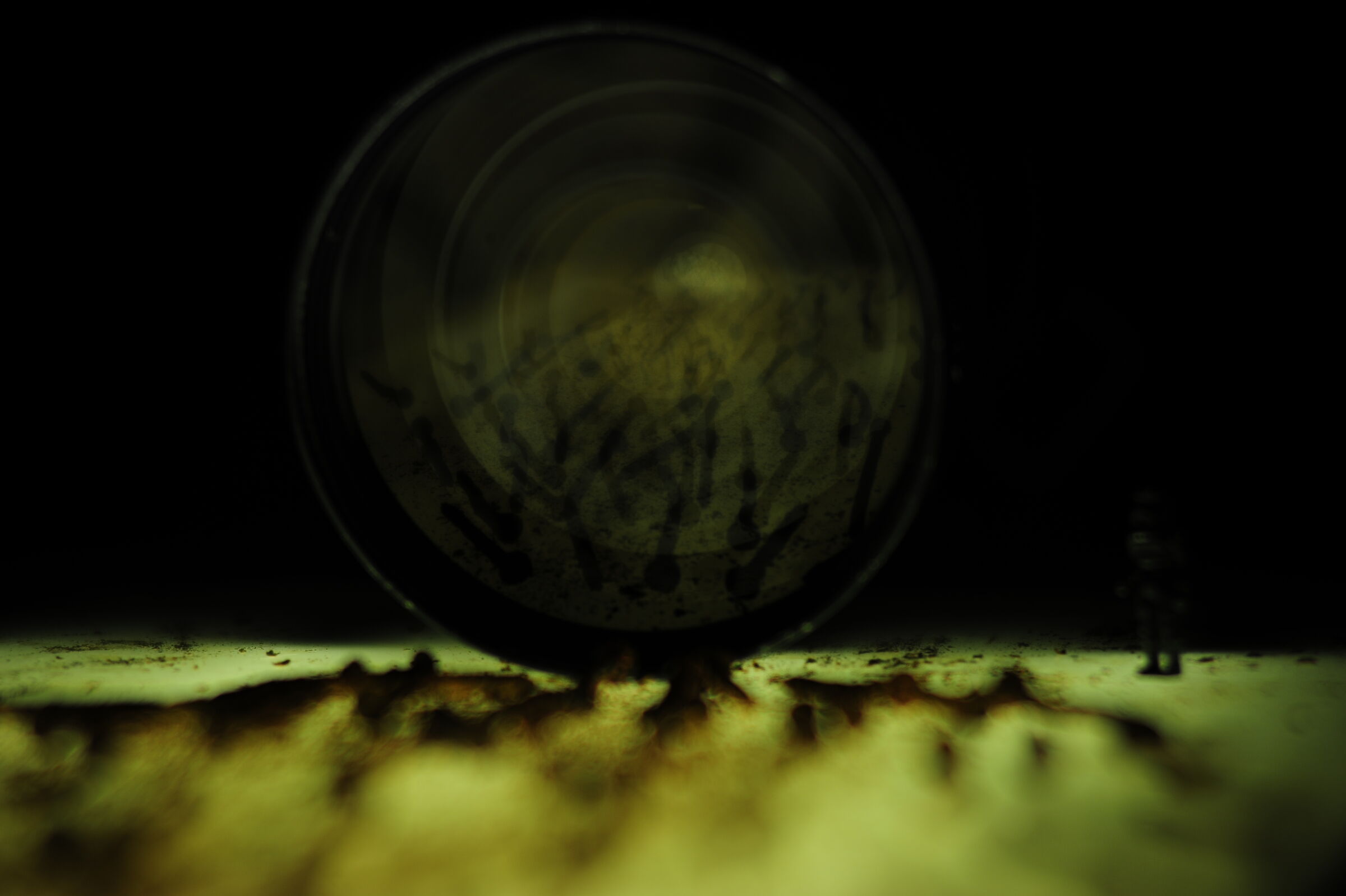 Stexplorers: The Return of Souls