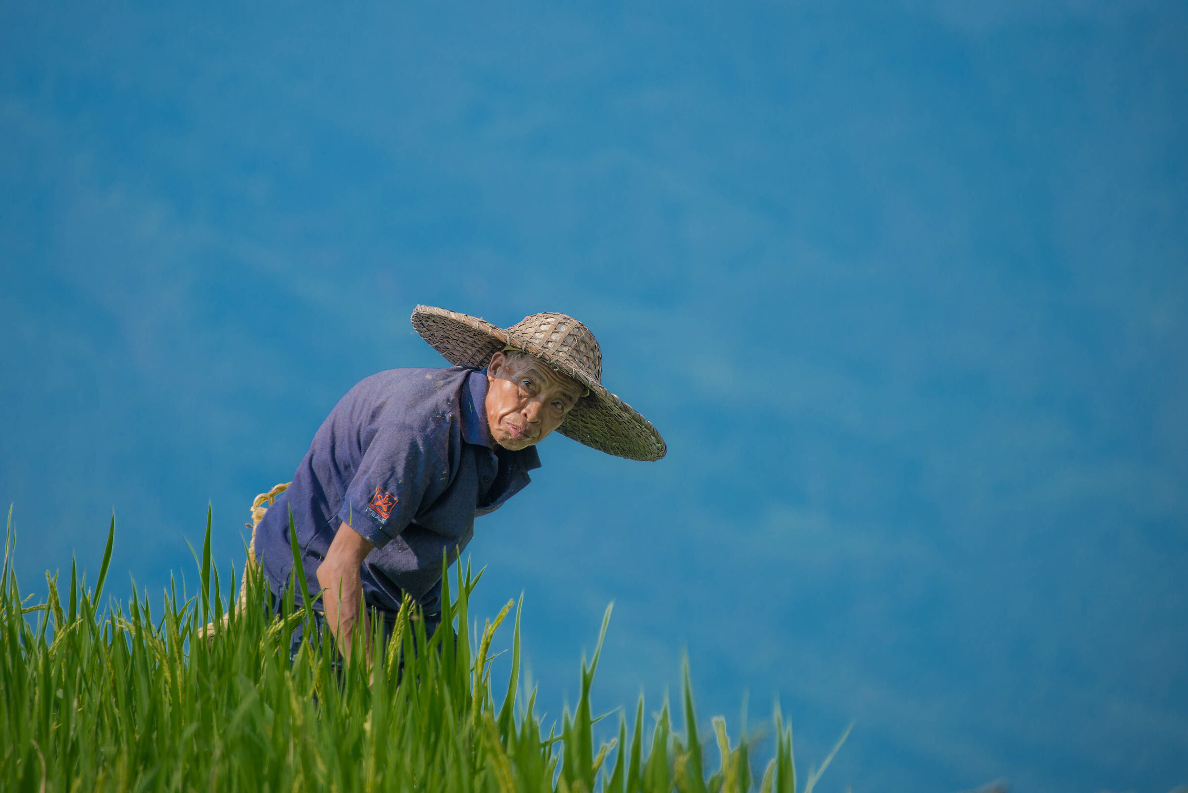Longji Titian, Guilin