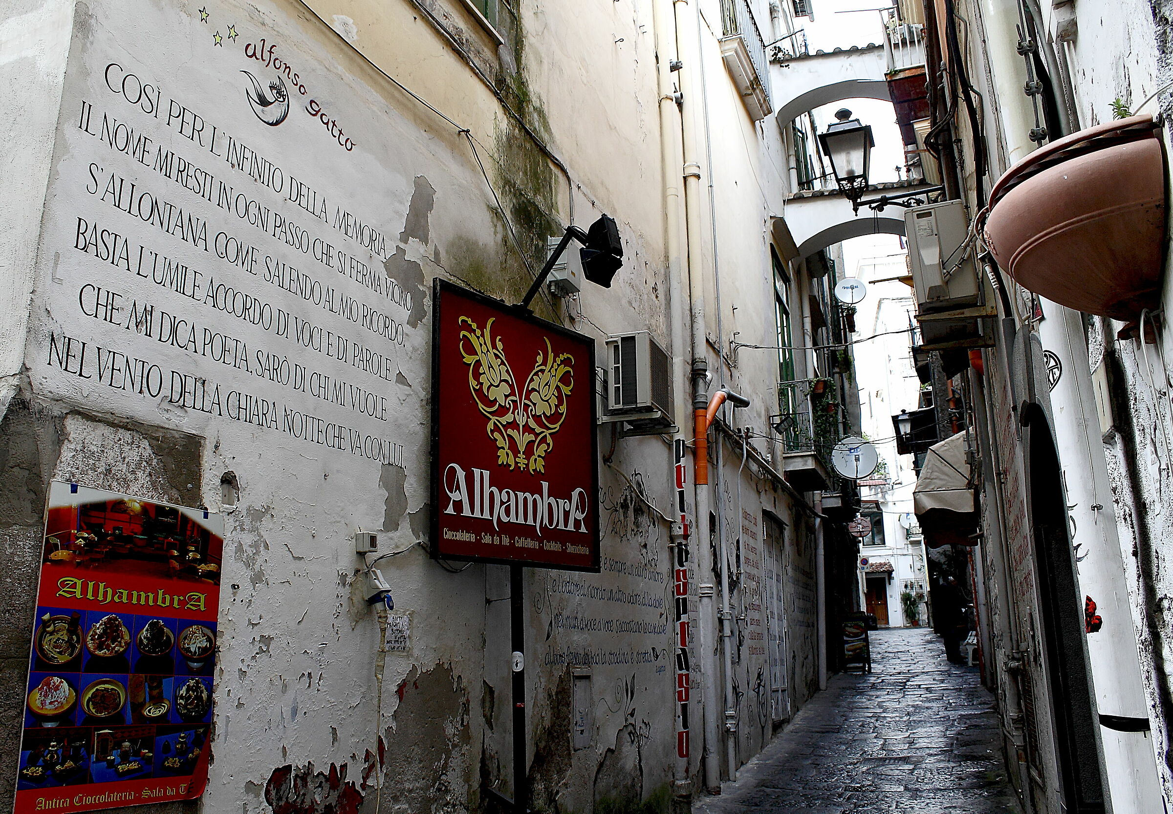 "Alfonso cat through the alleys..."