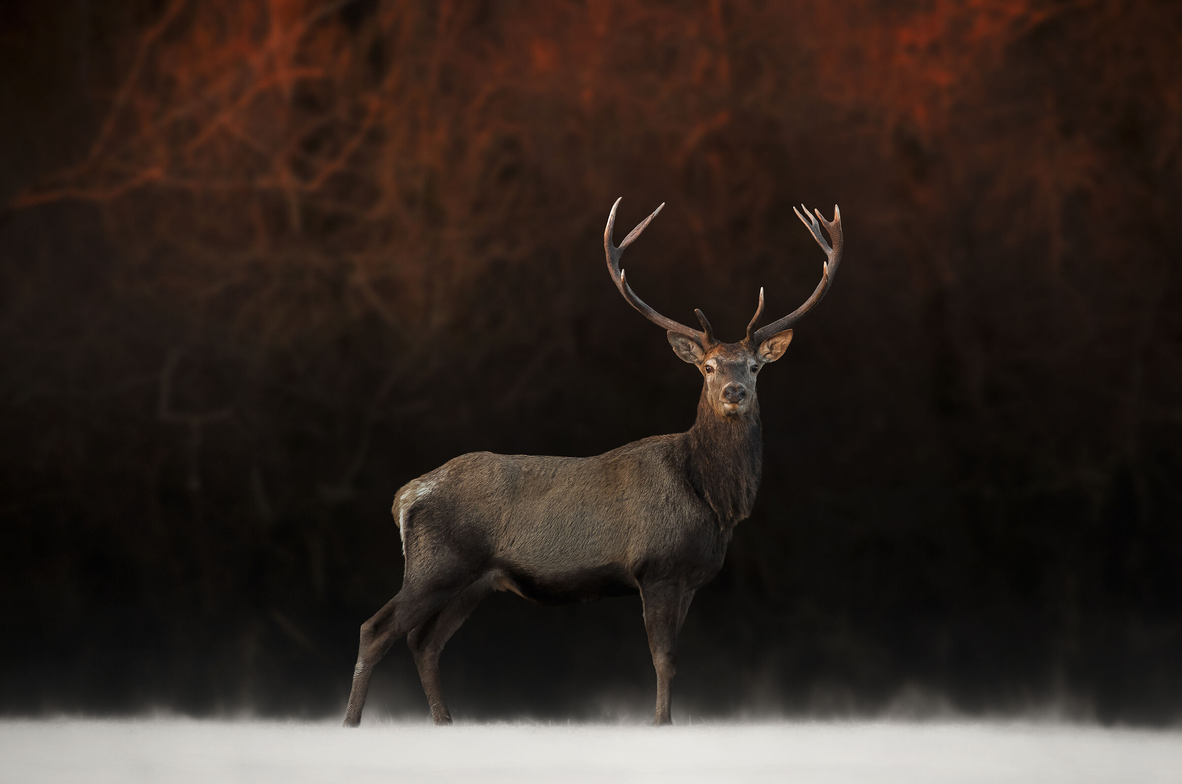 A great Good morning