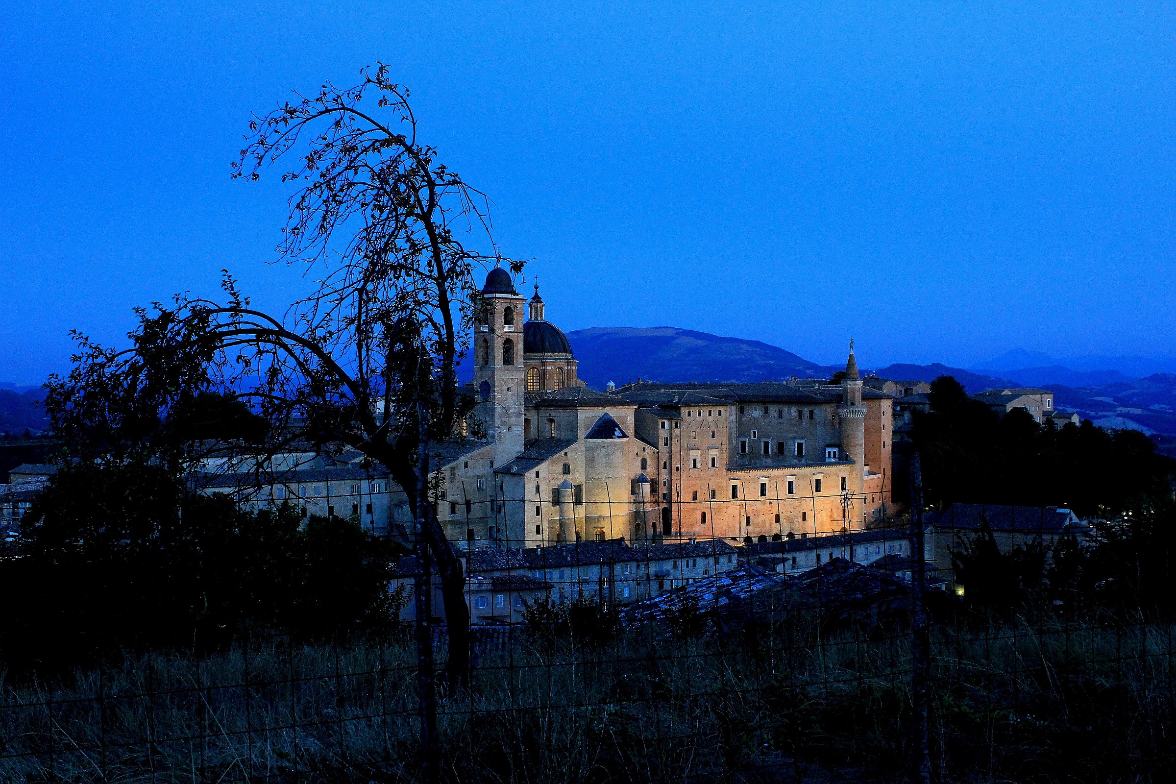 Urbino 2