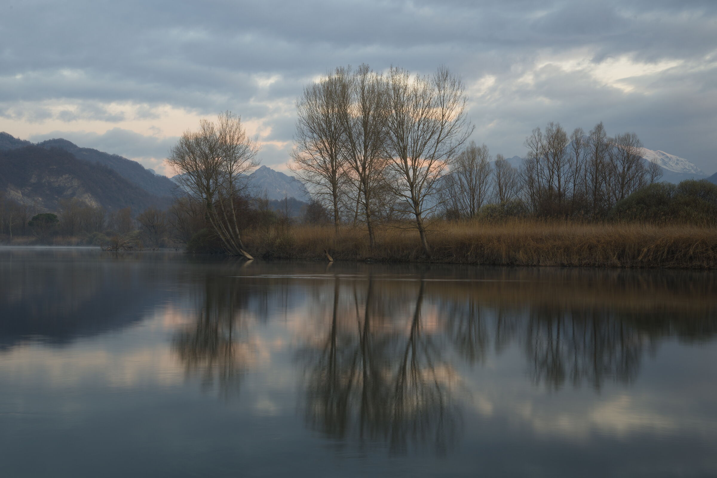 alba fiume adda