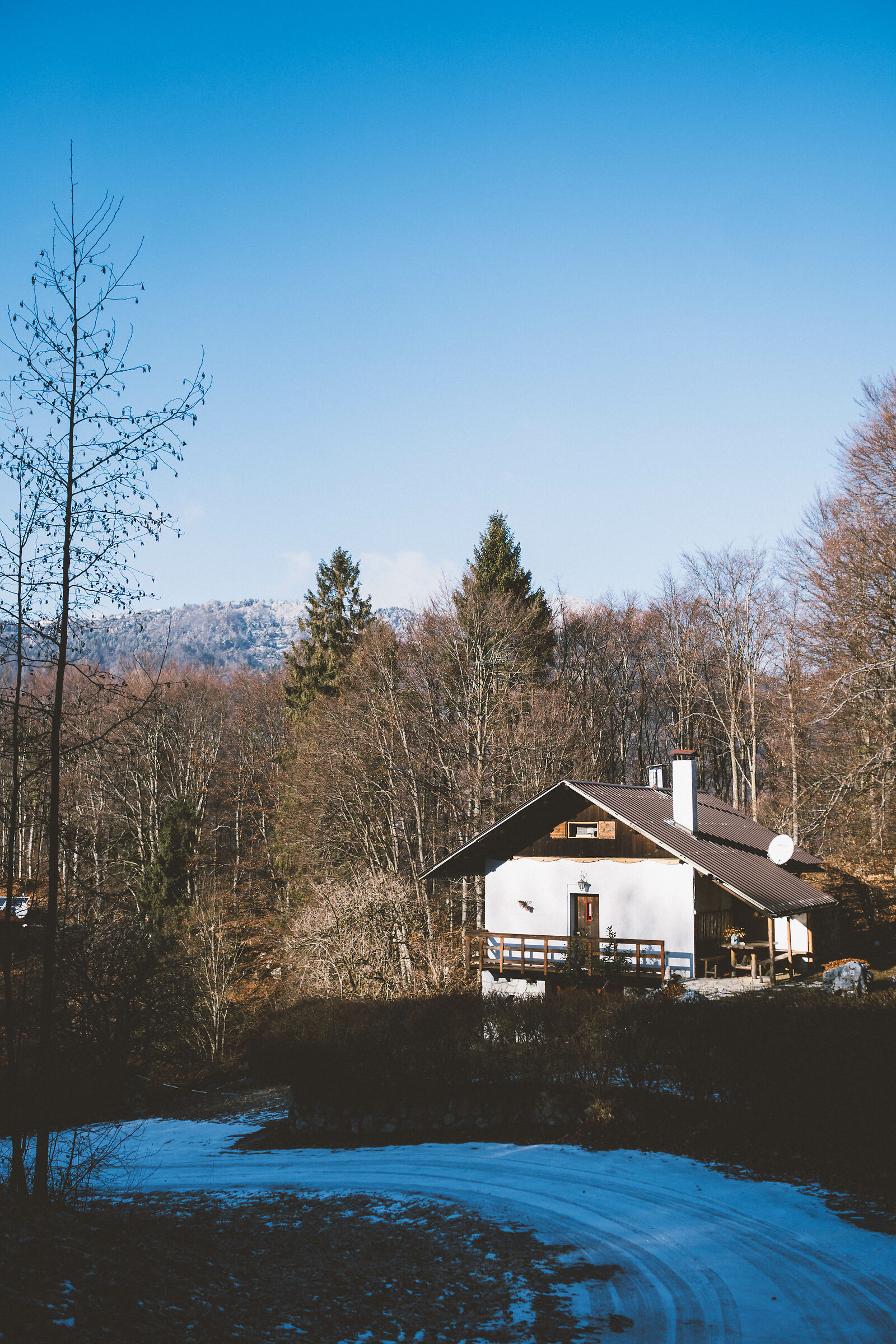 Home