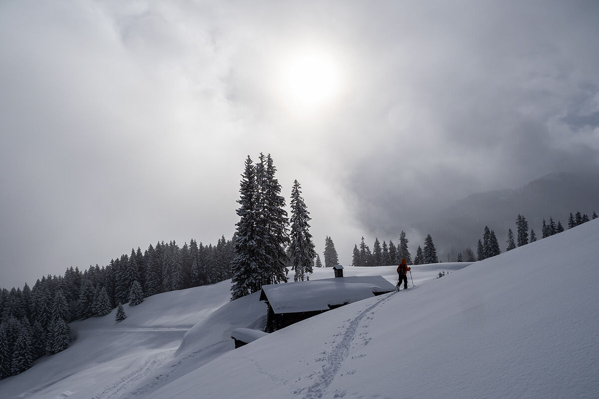 Plan Villard