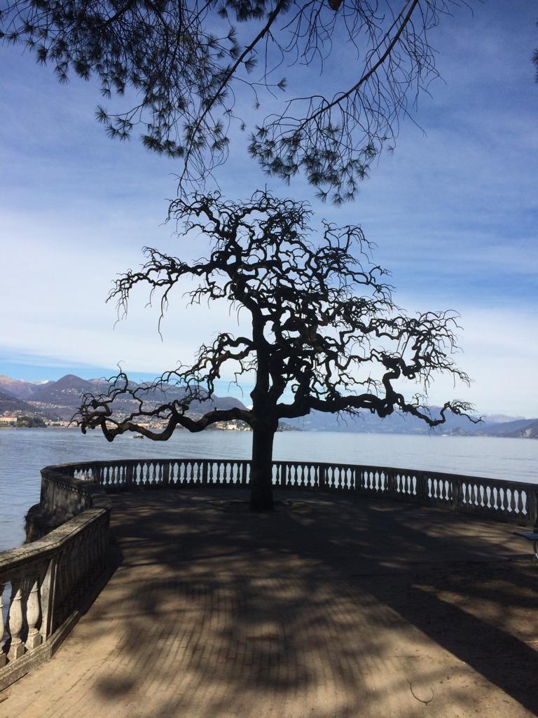 Lago Maggiore, Stresa