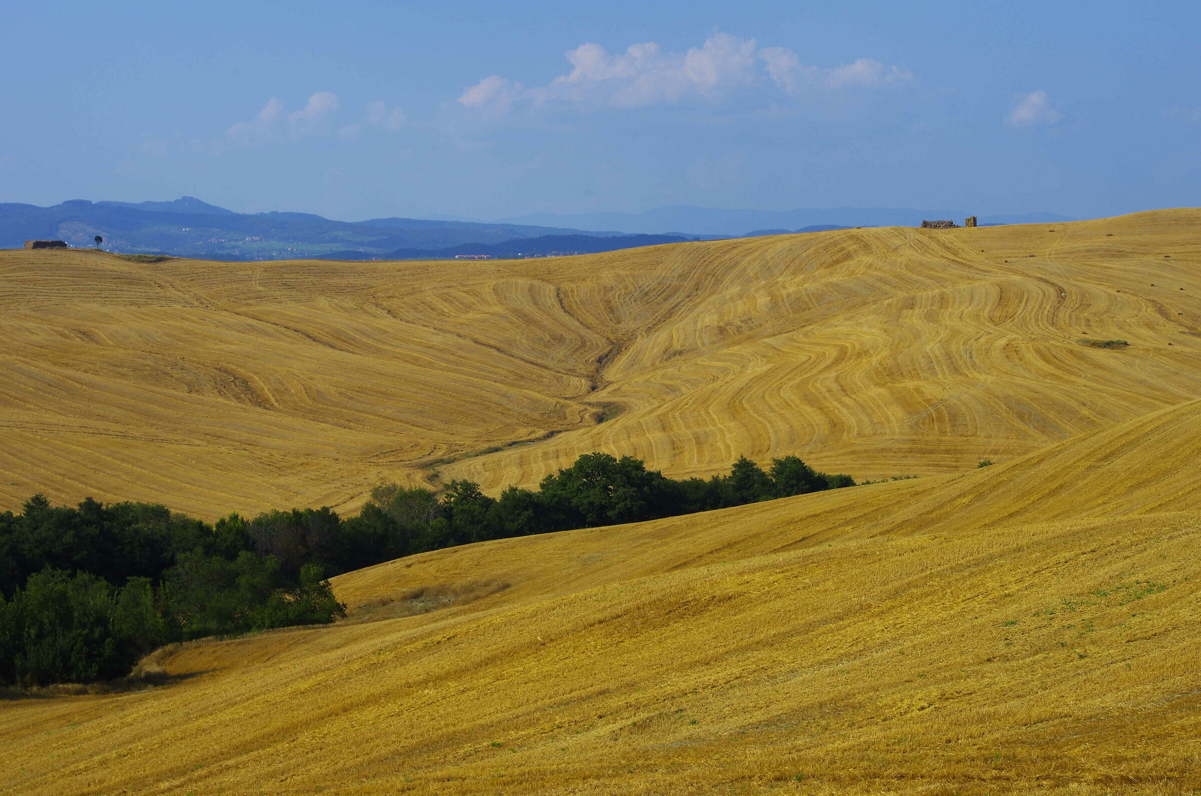 Le terre senesi