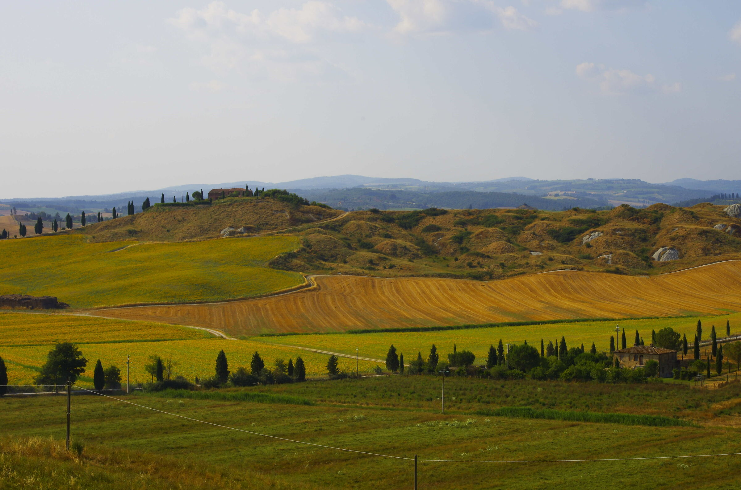 Le terre senesi