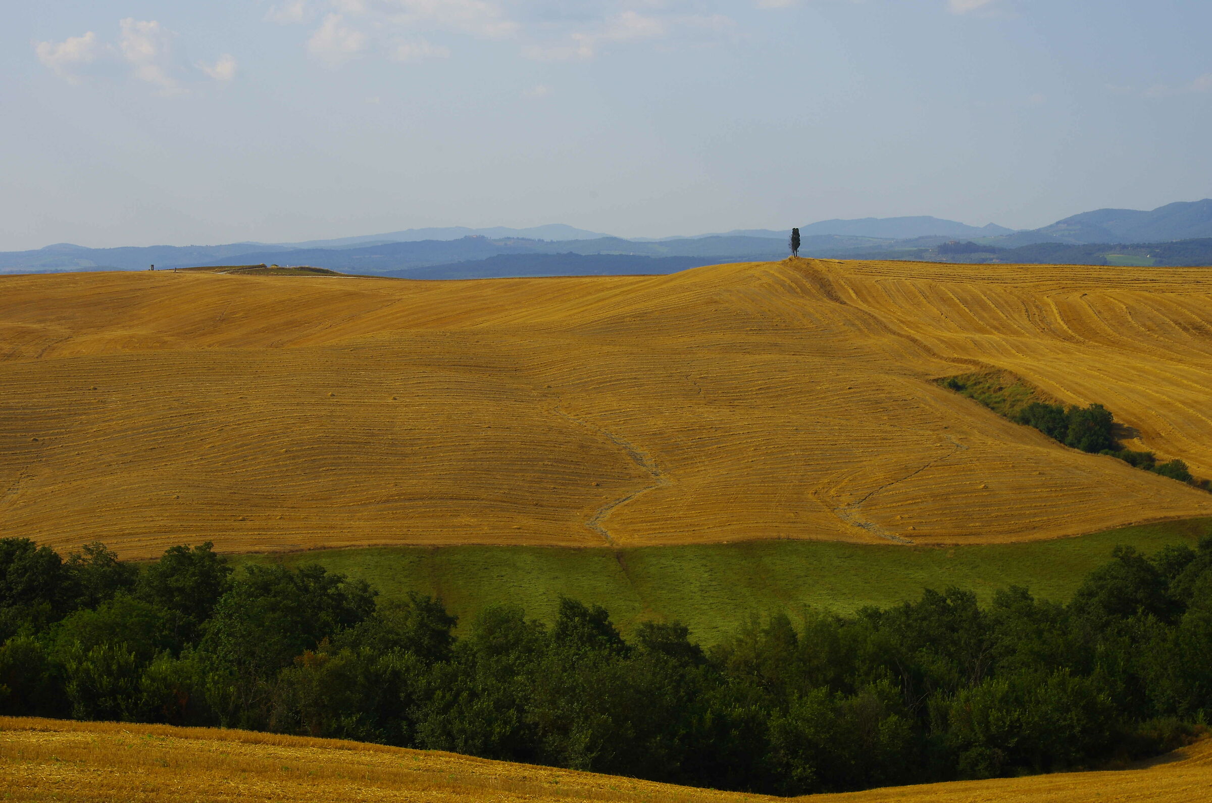 Le terre senesi