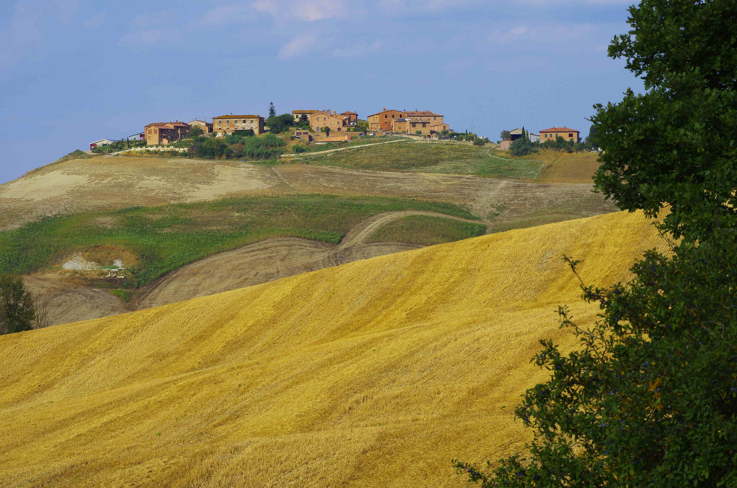 Le terre senesi