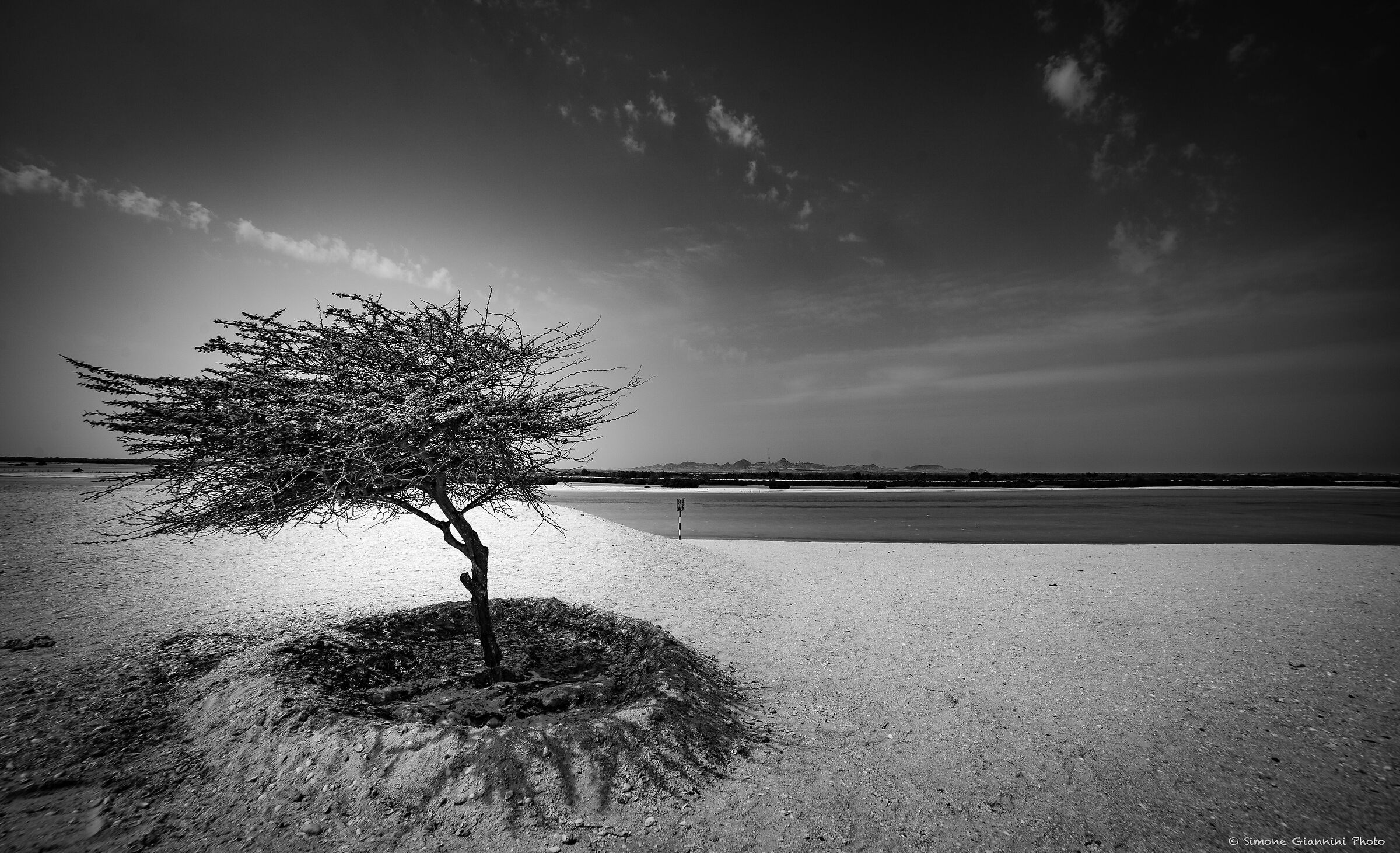 La solitudine