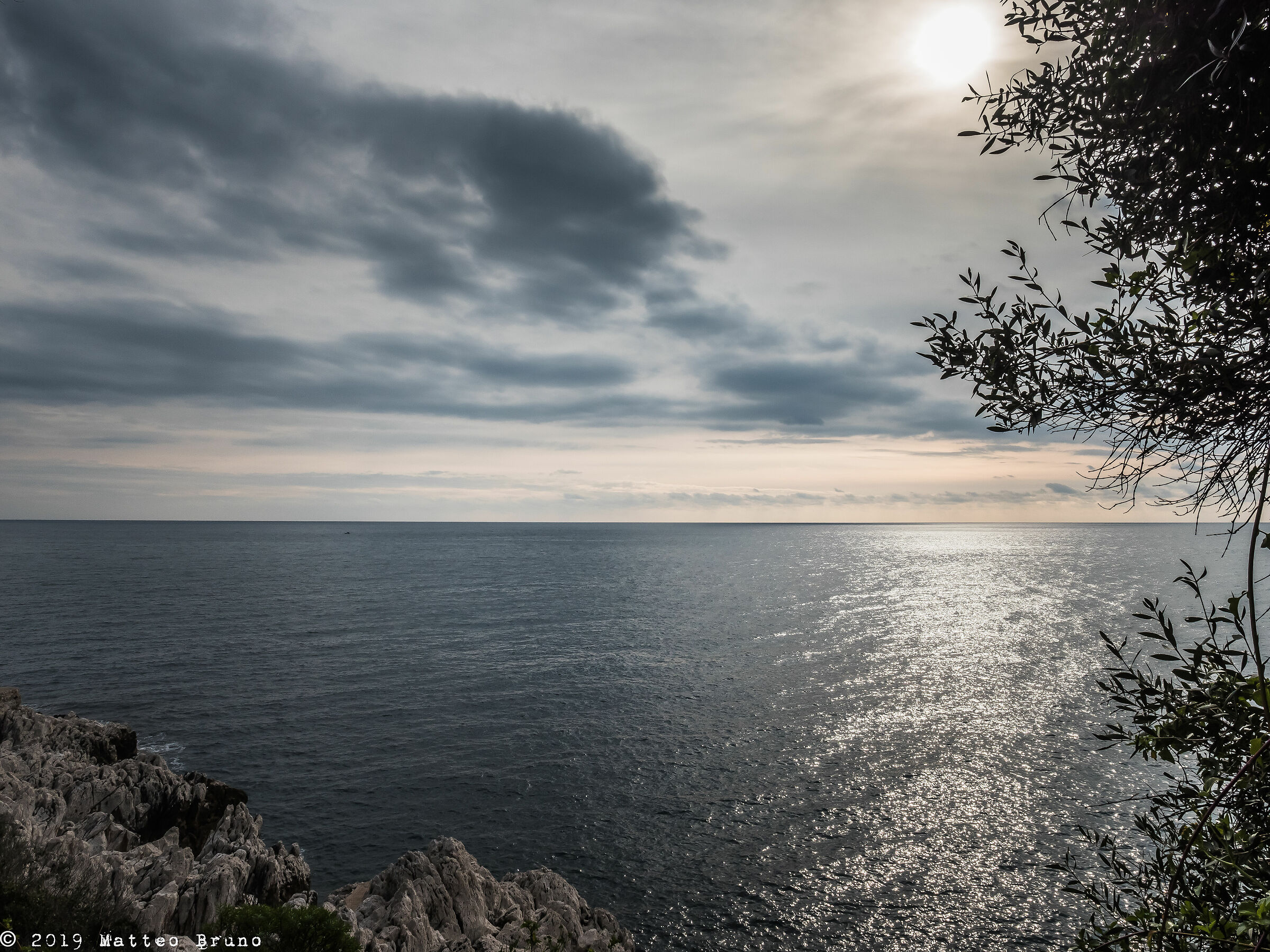 La natura che si mischia col mare